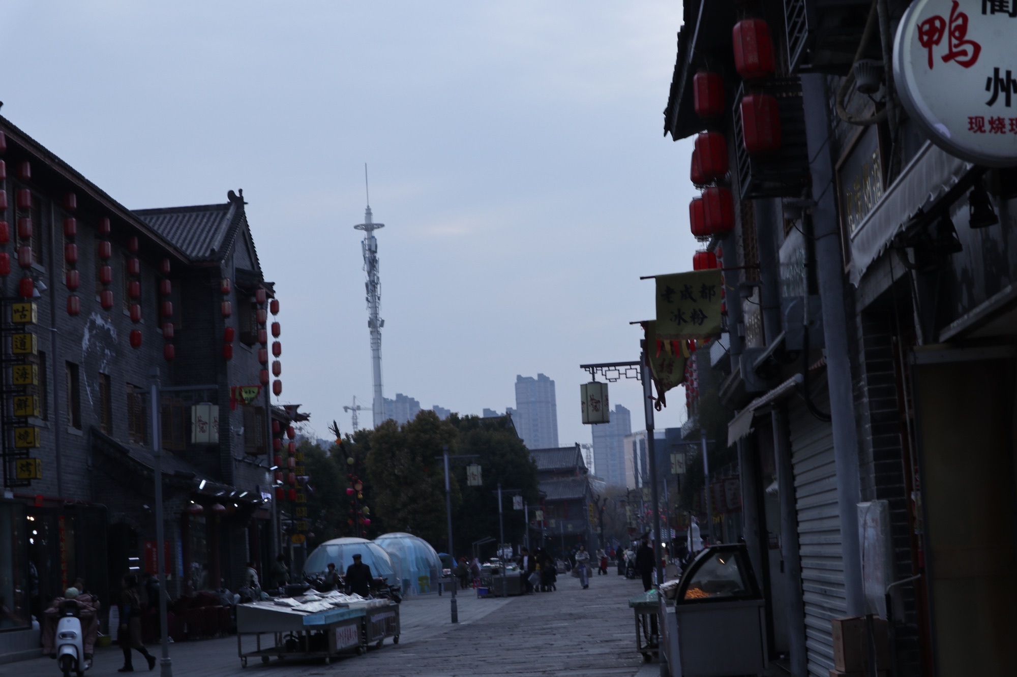 新浦公园旅行图片 2