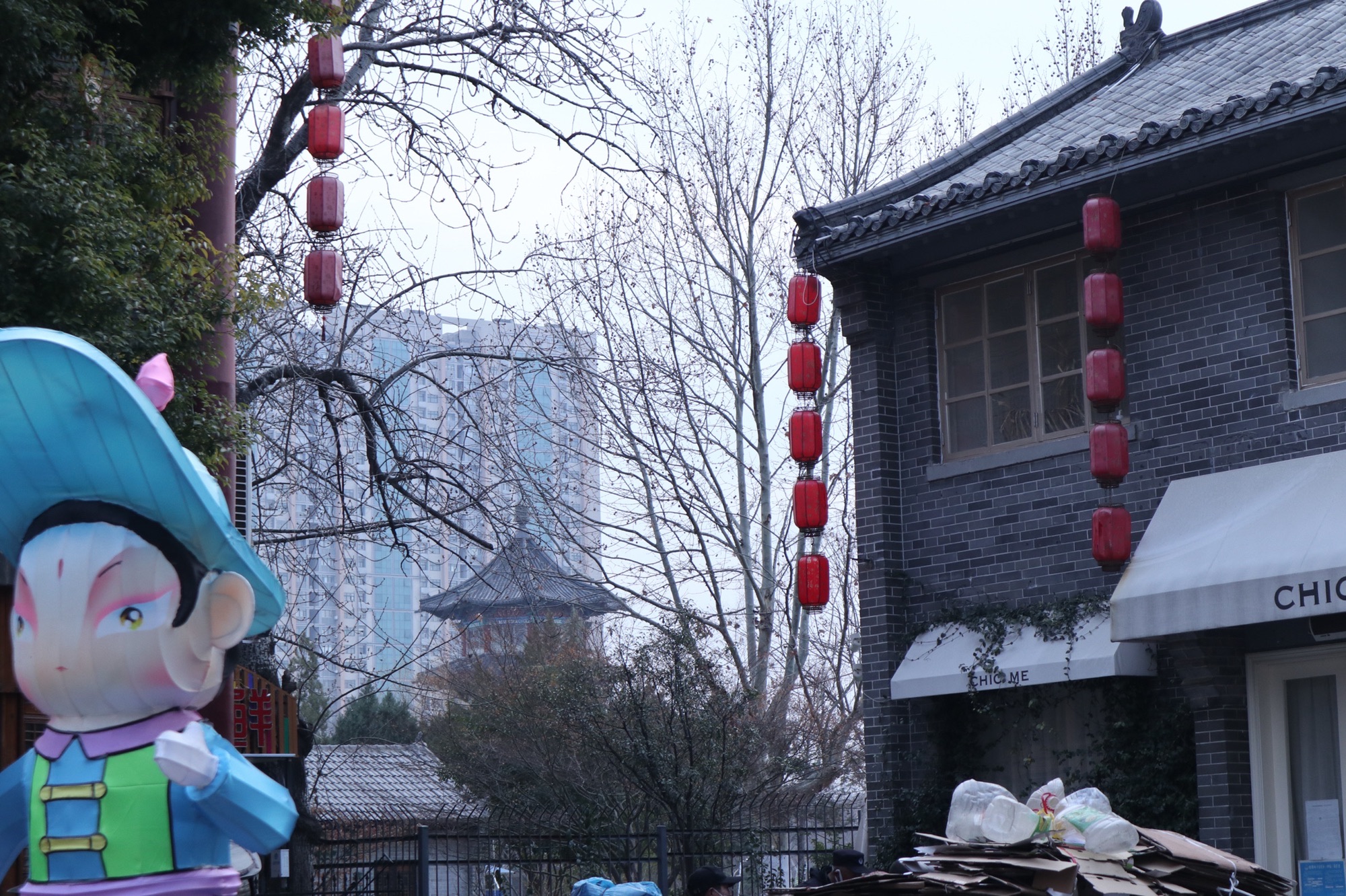 新浦公园旅行图片 1