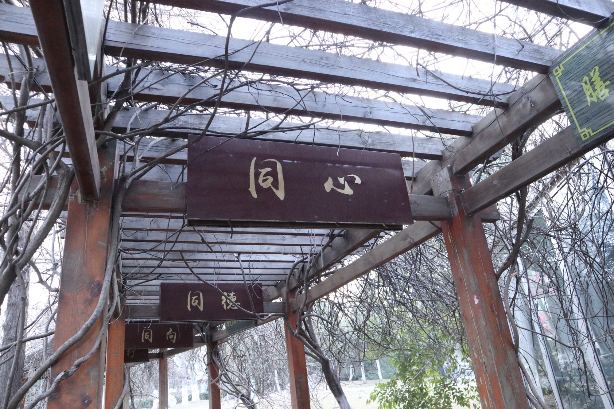 新浦公园旅行图片 3
