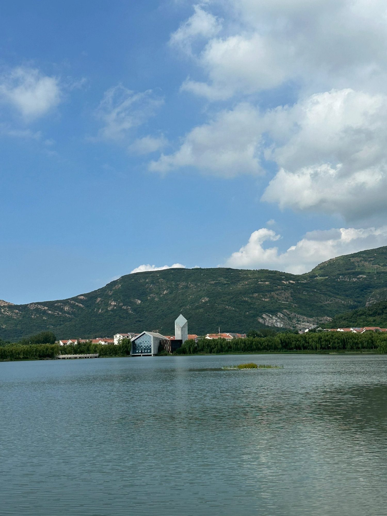 新浦公园旅行图片 1