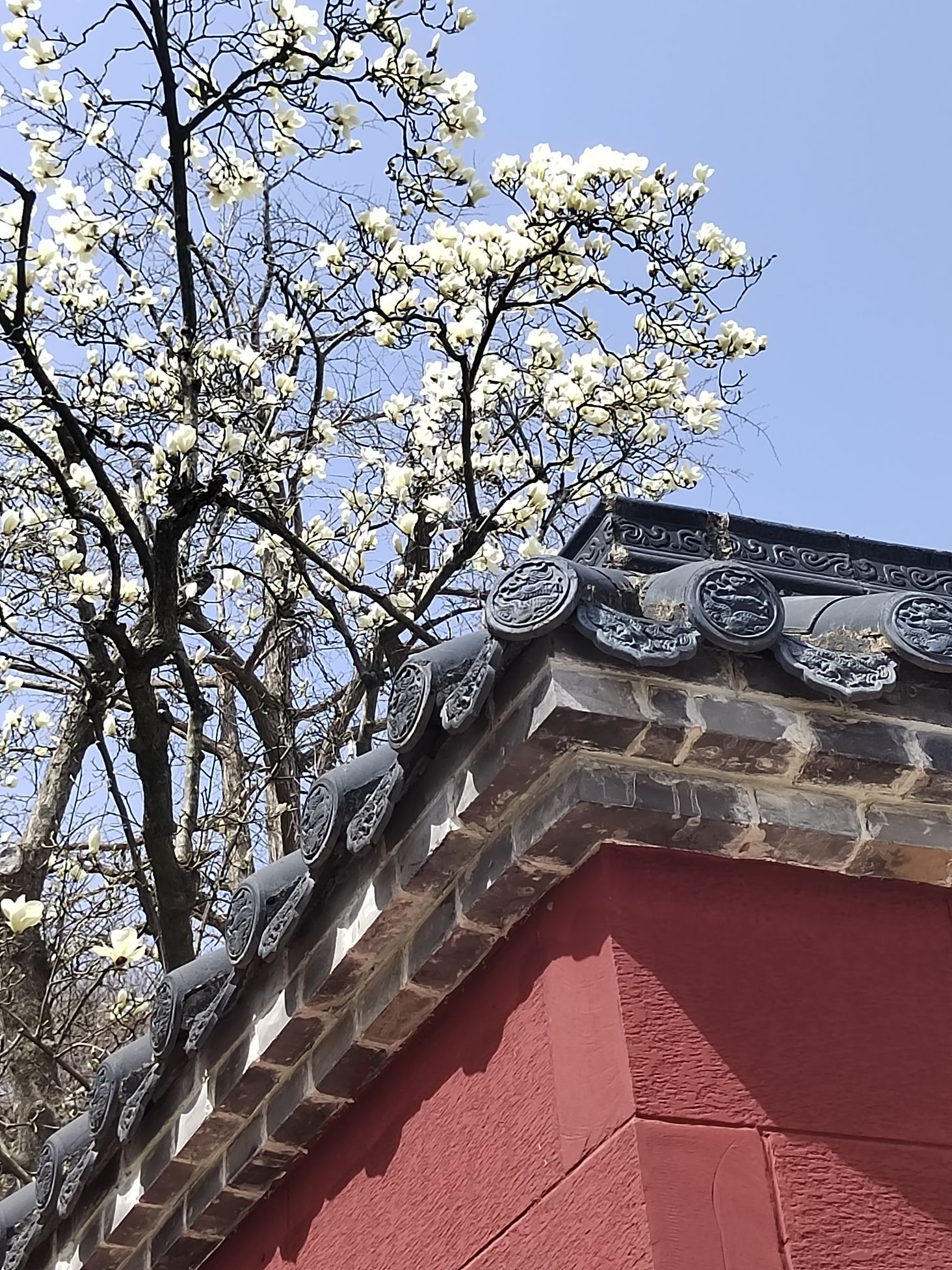 东磊风景游览区