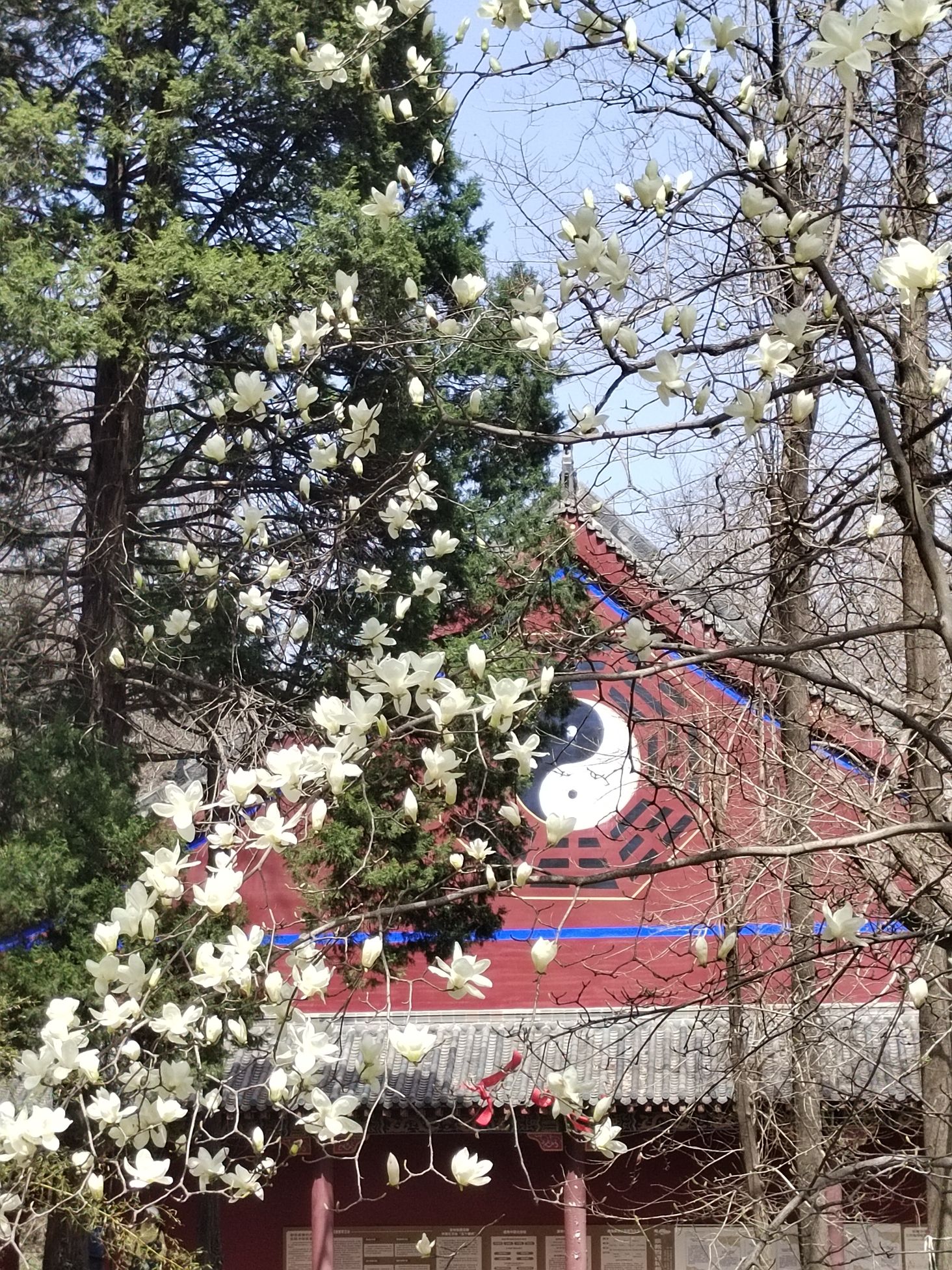 东磊风景游览区旅行图片 2