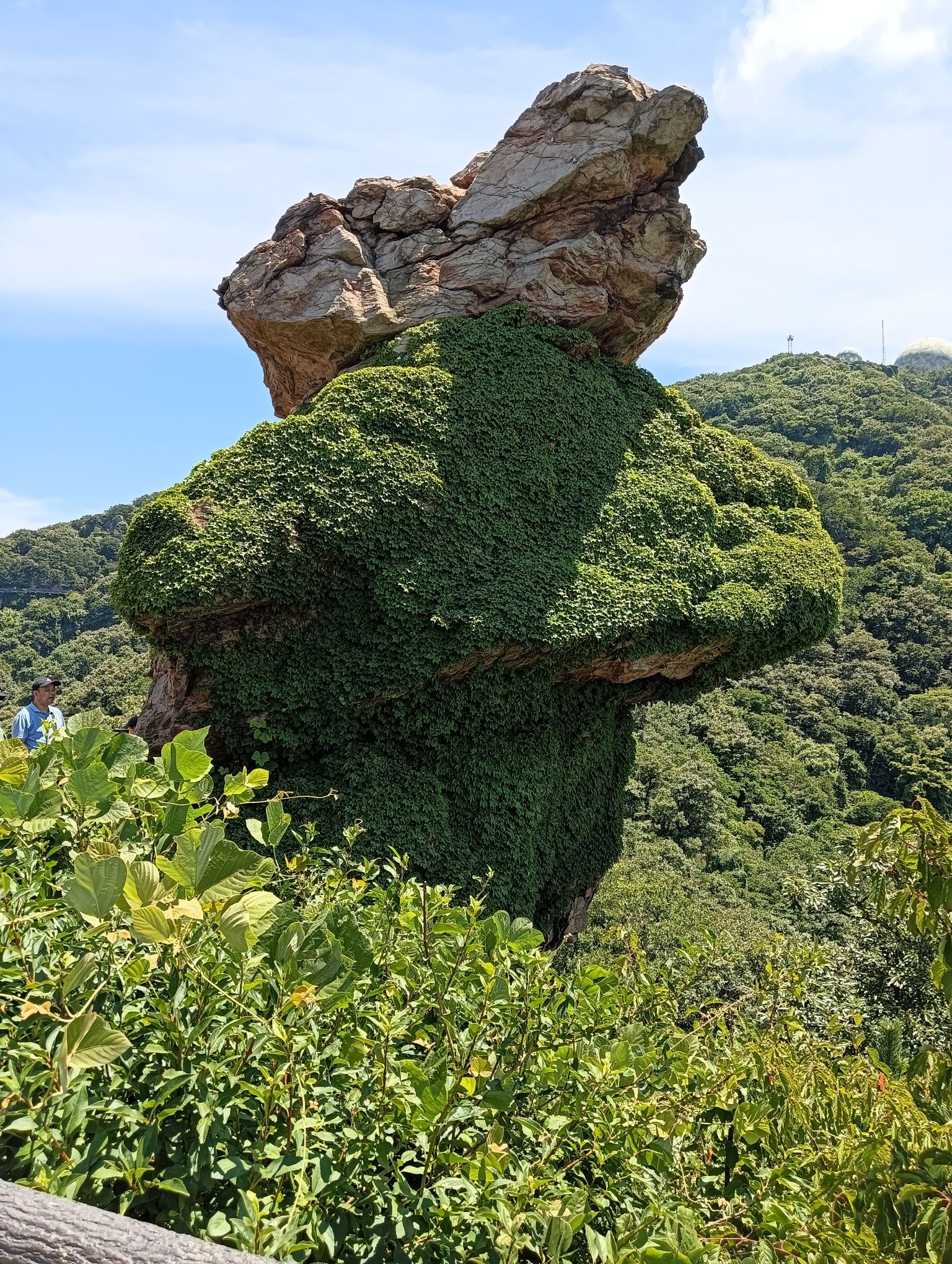 云台山国家森林公园旅行图片 2