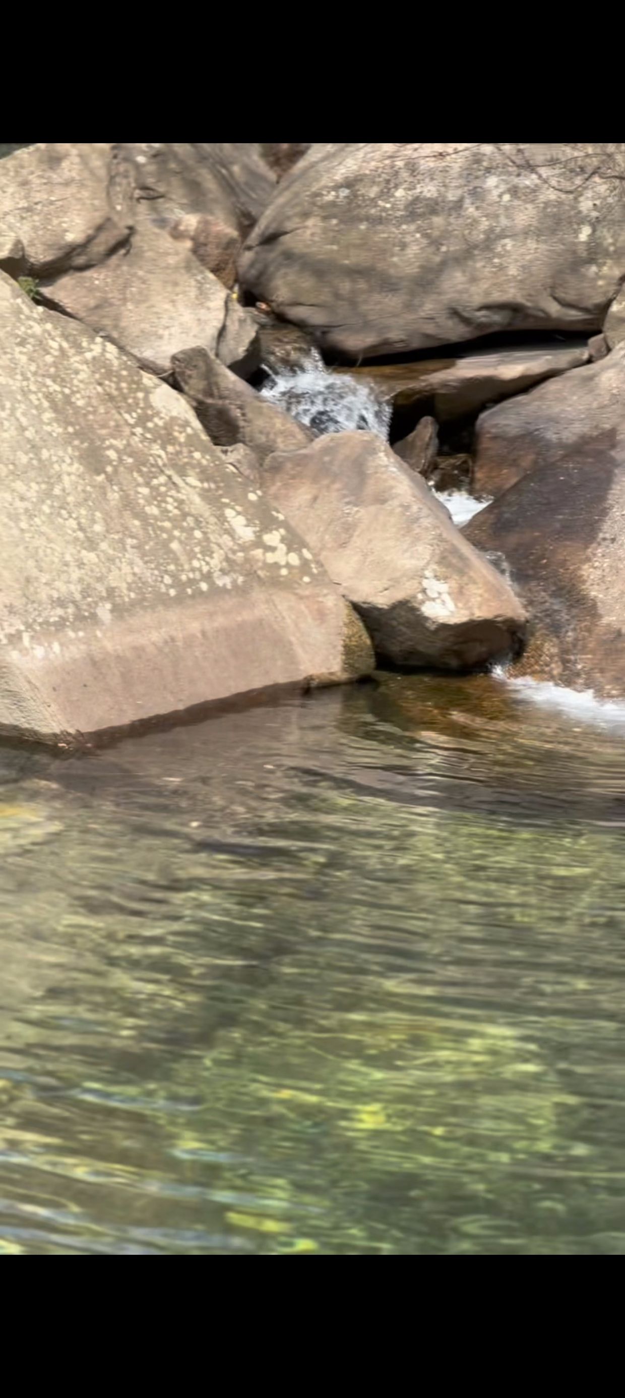 云台山国家森林公园旅行图片 2