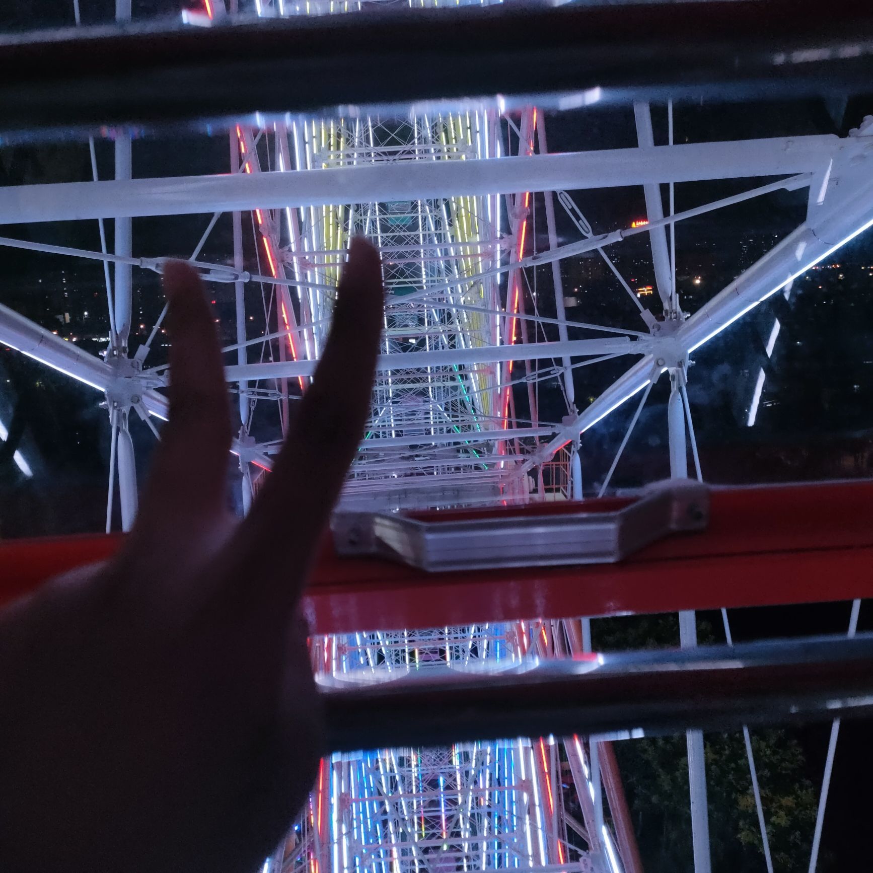 金牛公园旅行图片 3