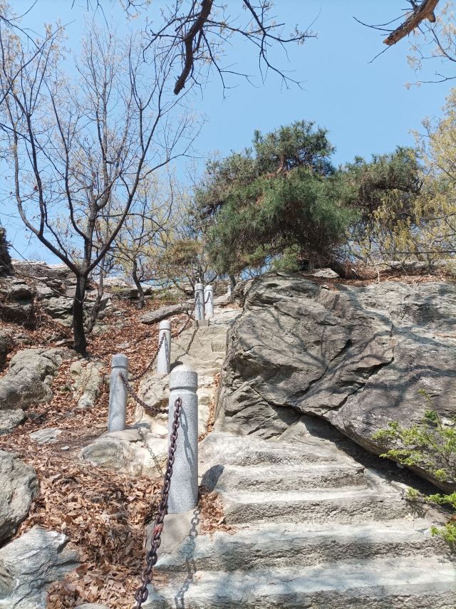 大伊山风景区旅行图片 3
