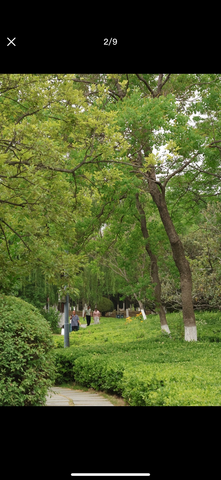 苍梧绿园旅行图片 3