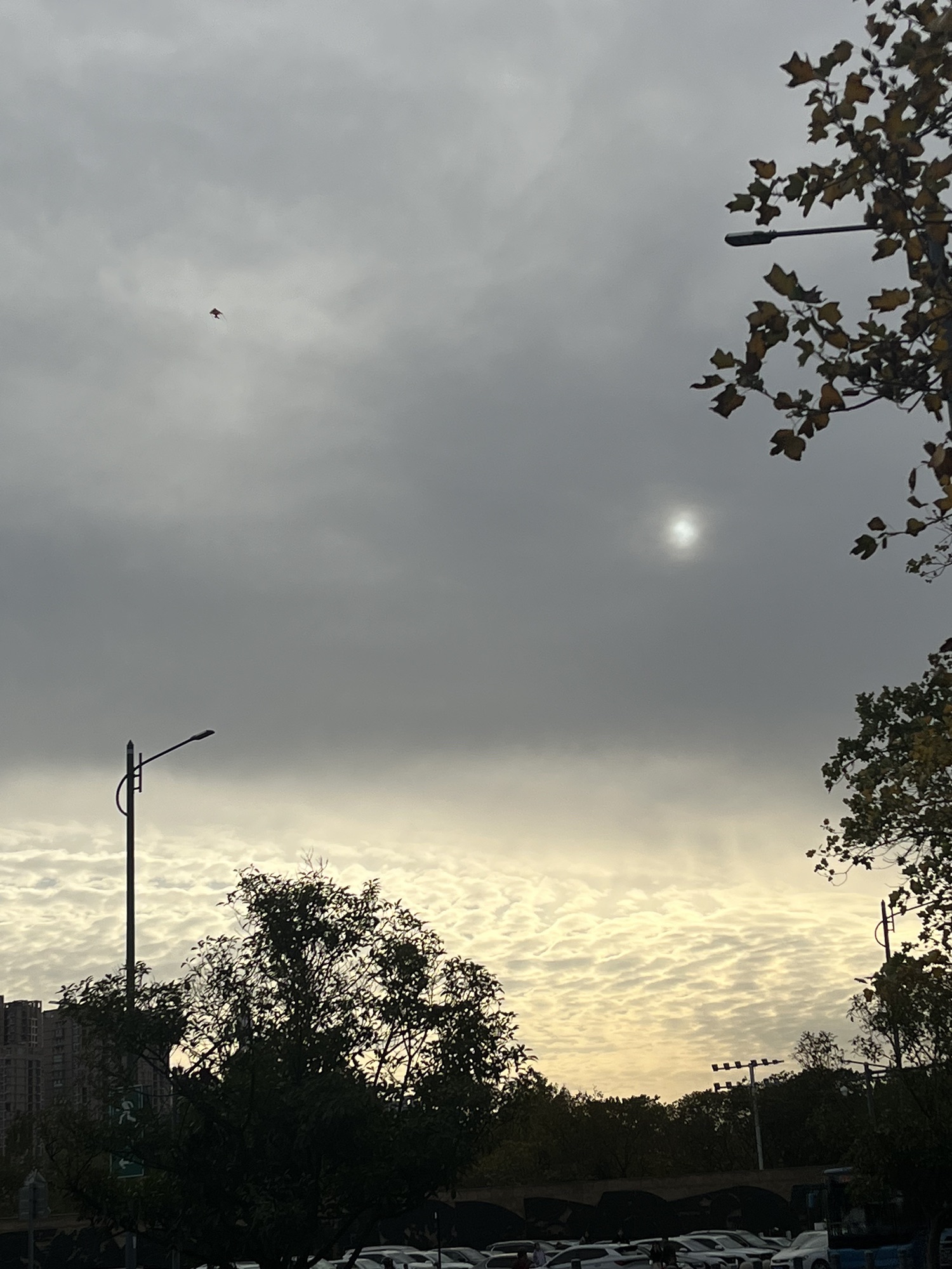 苍梧绿园旅行图片 3