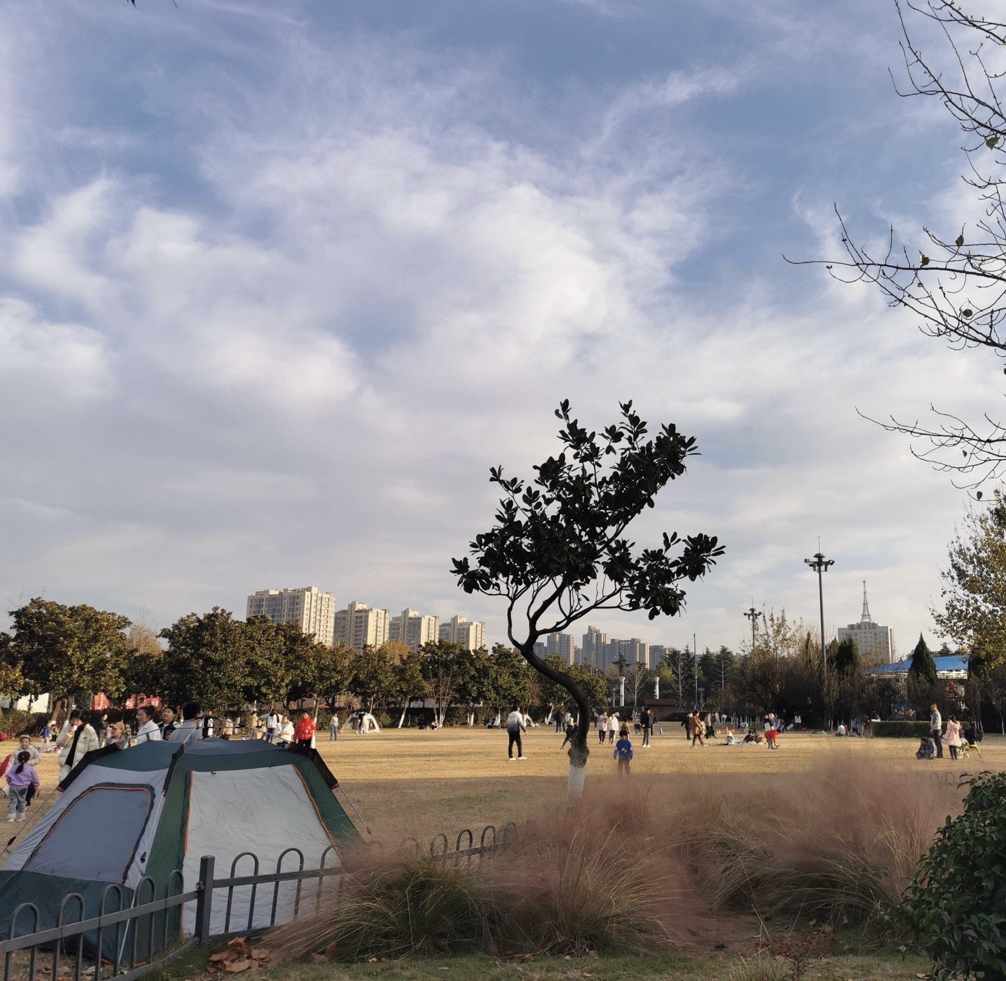 苍梧绿园旅行图片 1