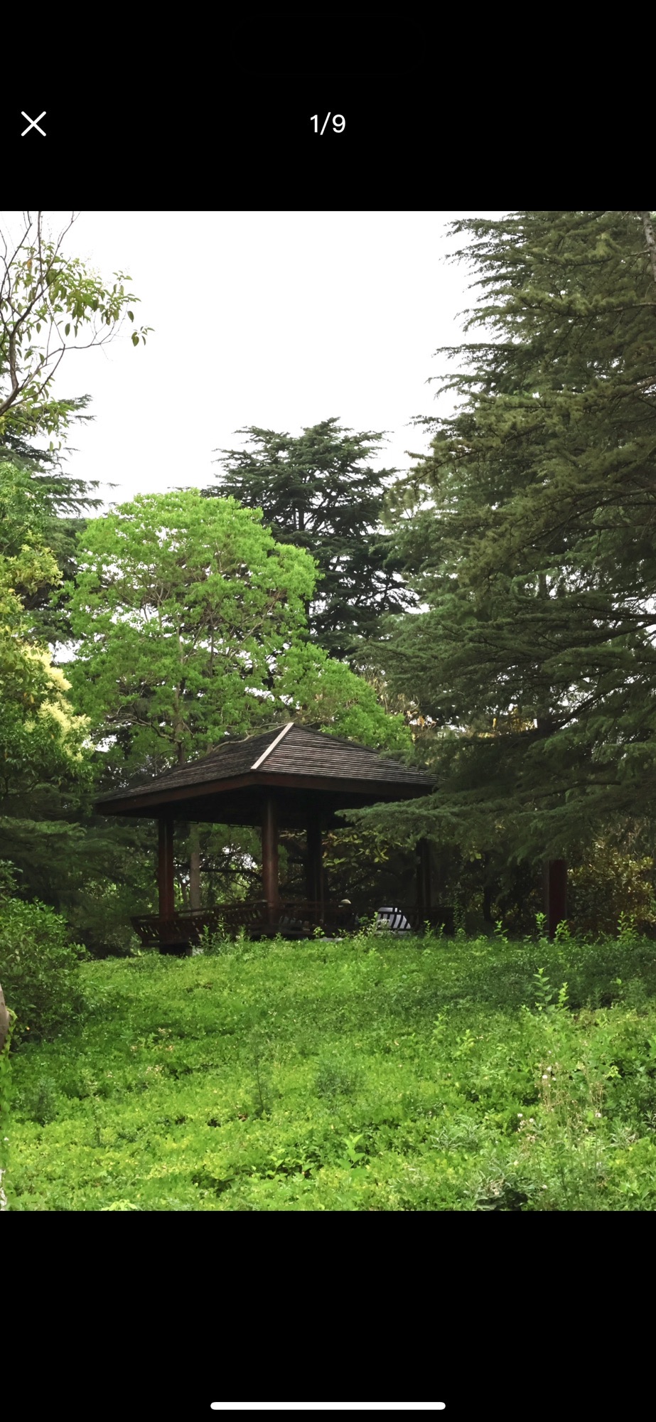 苍梧绿园旅行图片 2