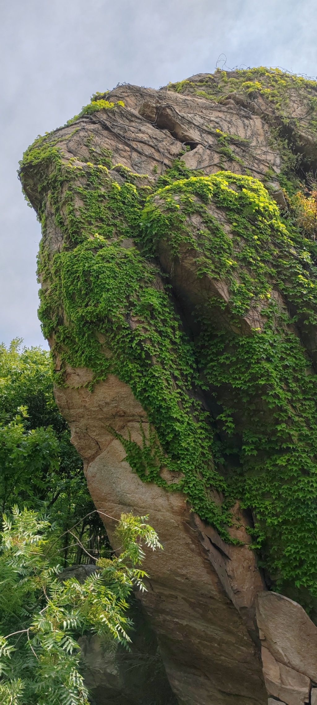 孔雀沟旅行图片 3