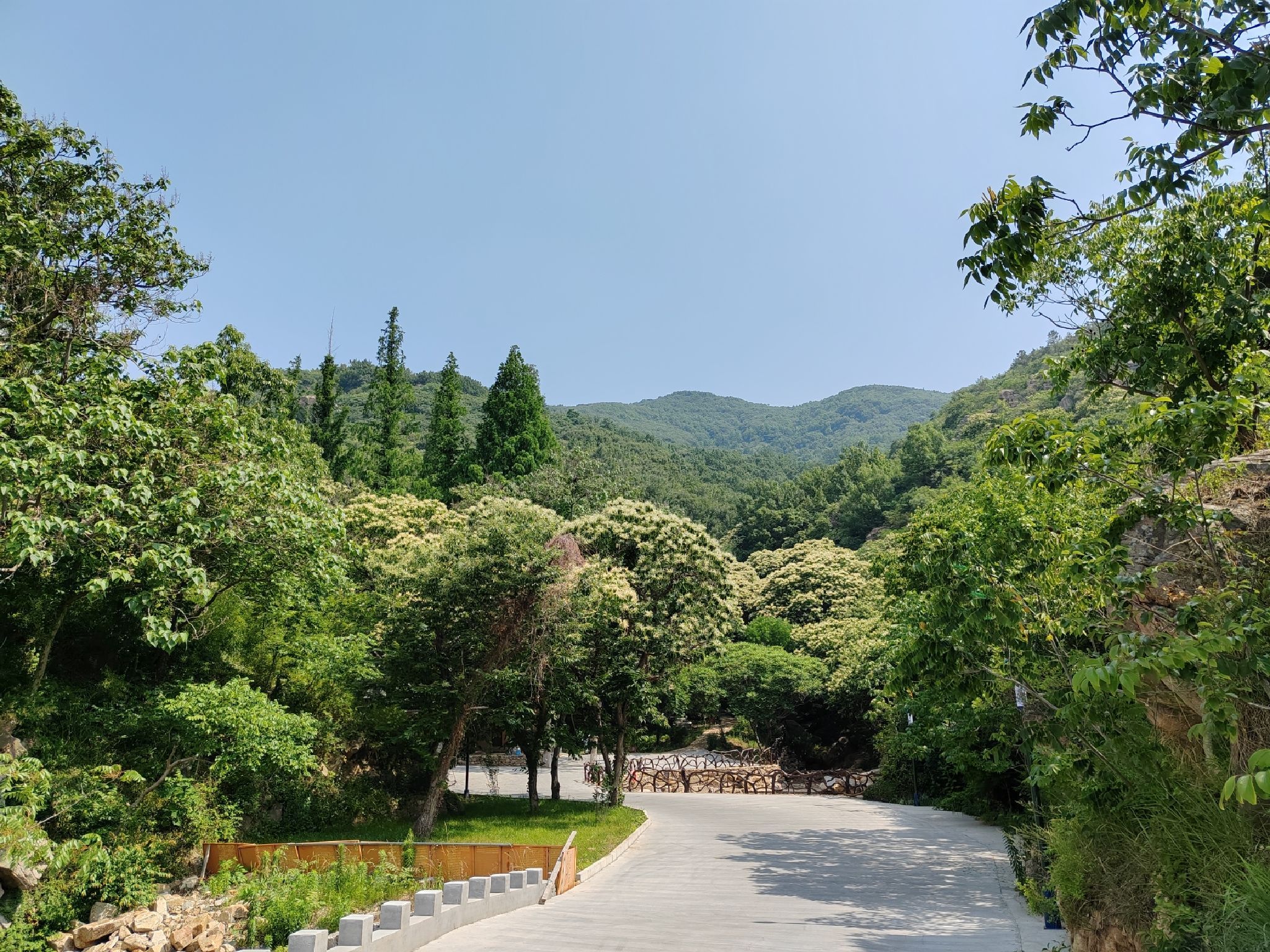 孔雀沟旅行图片 1