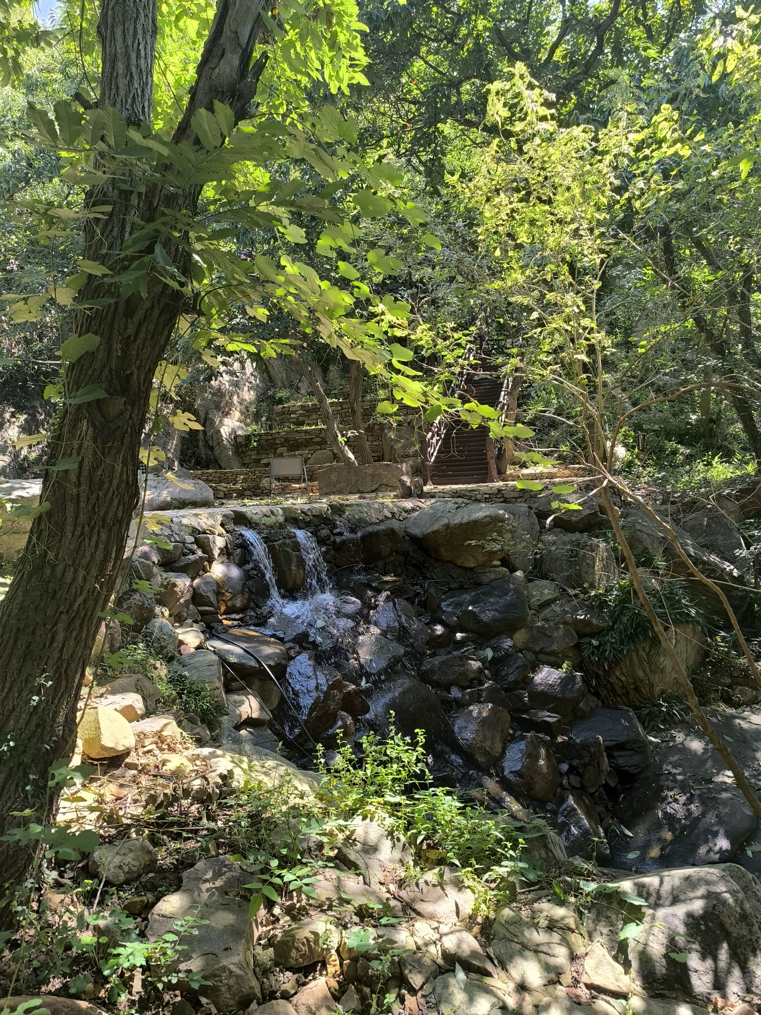 孔雀沟旅行图片 1