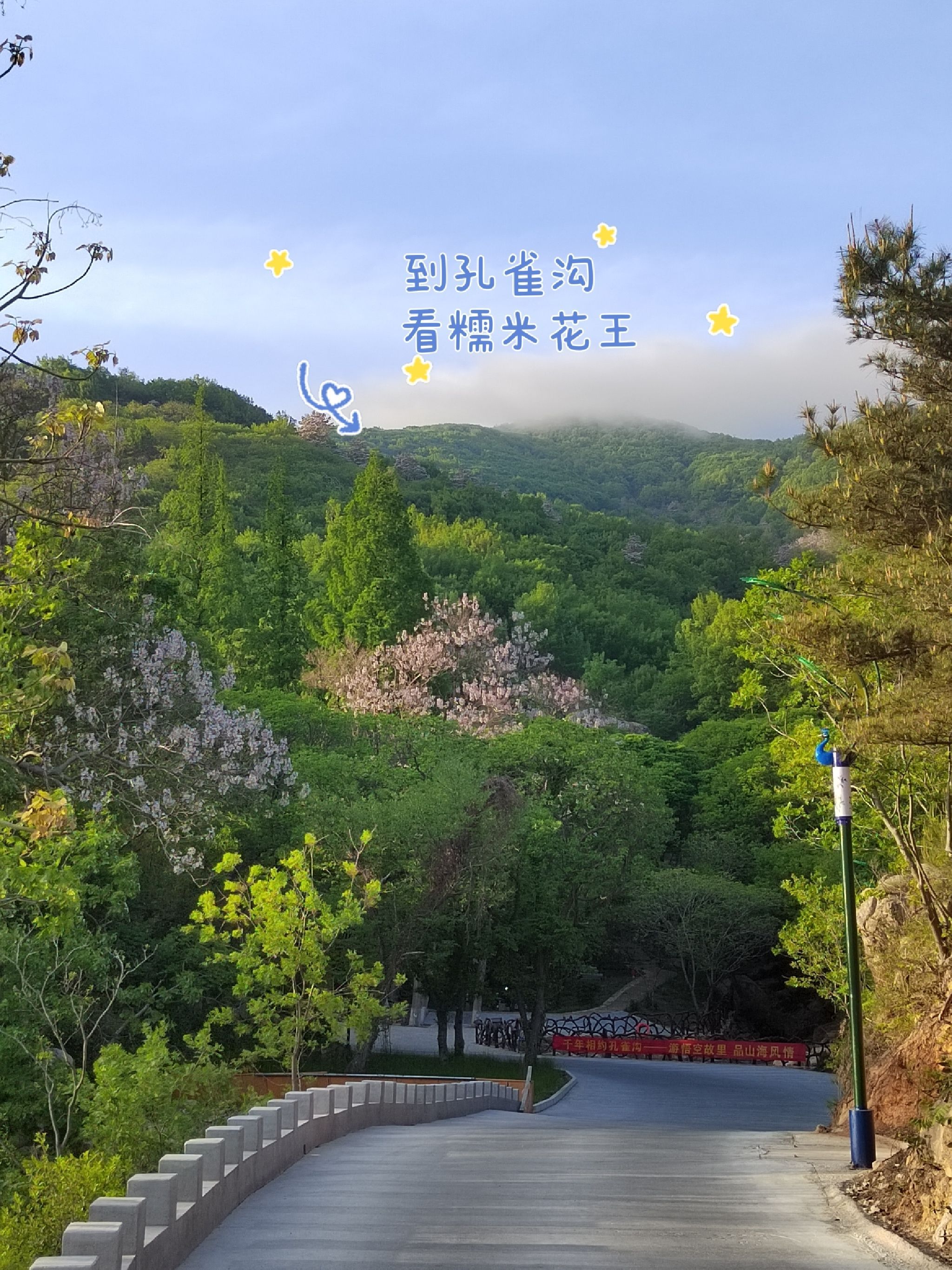 孔雀沟旅行图片 1