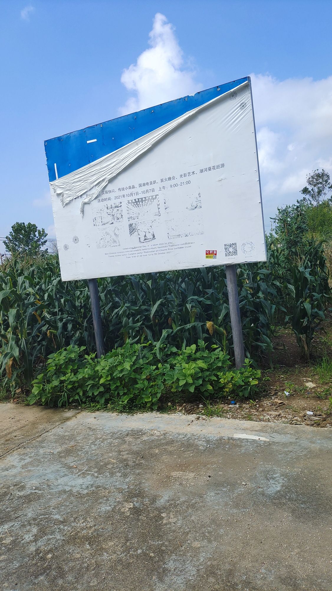 潮河湾旅行图片 1