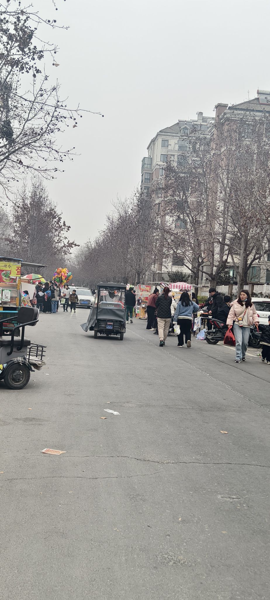 青口生态公园旅行图片 1