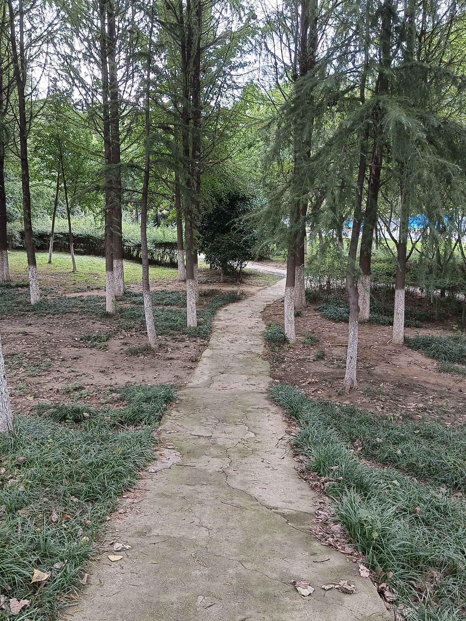 青口生态公园旅行图片 1