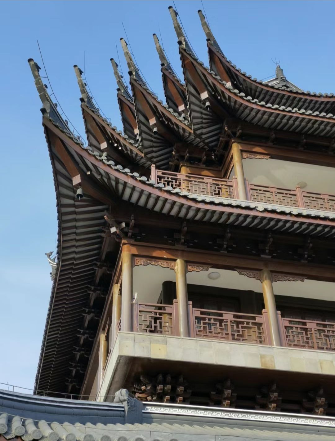 青口生态公园旅行图片 3