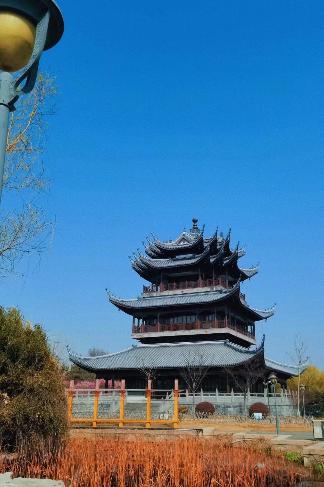 青口生态公园旅行图片 1