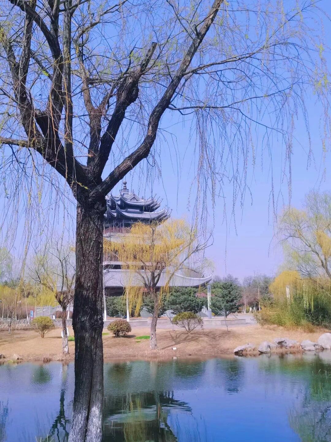 青口生态公园旅行图片 3