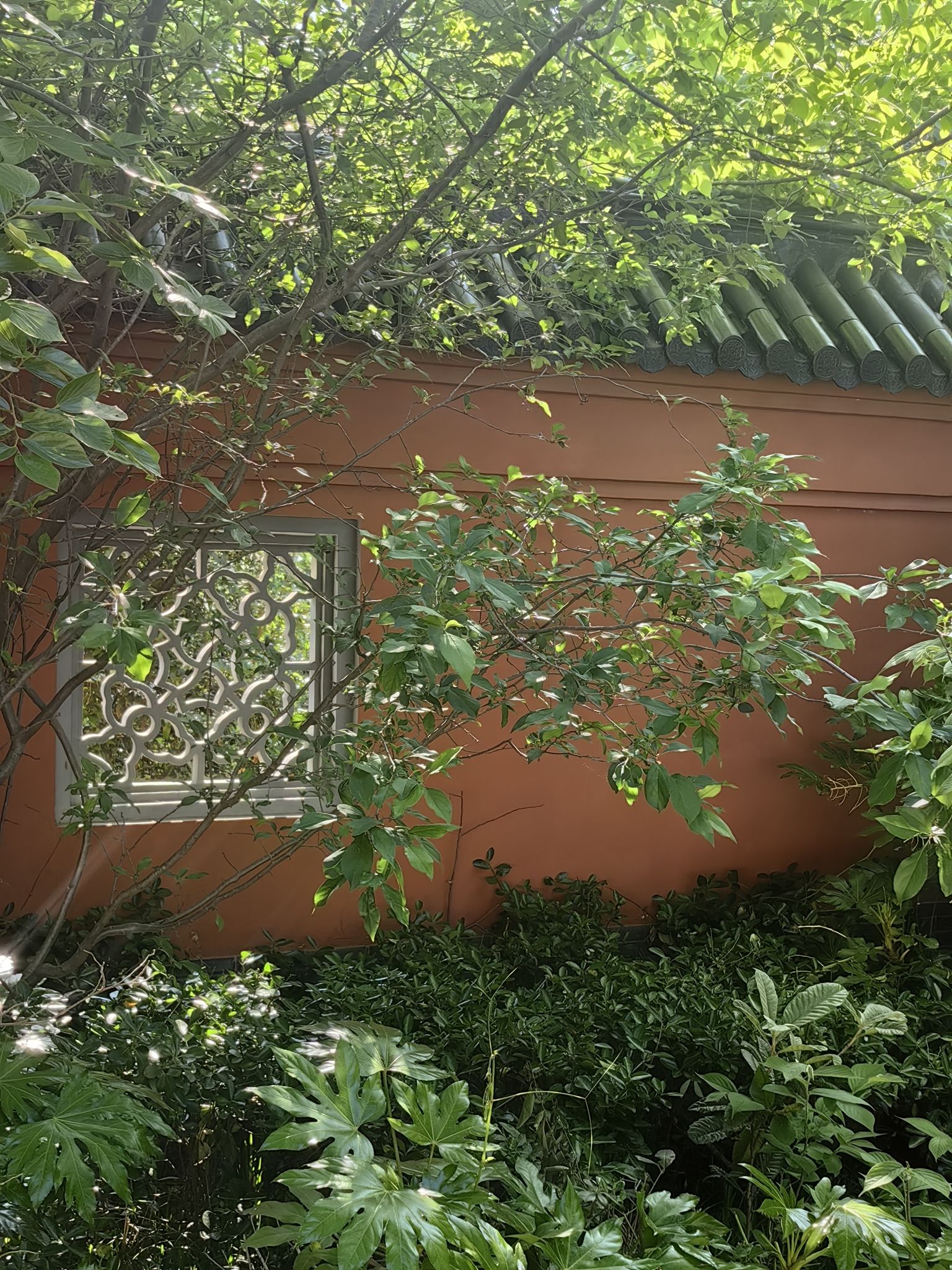 二郎神文化遗迹公园旅行图片 3