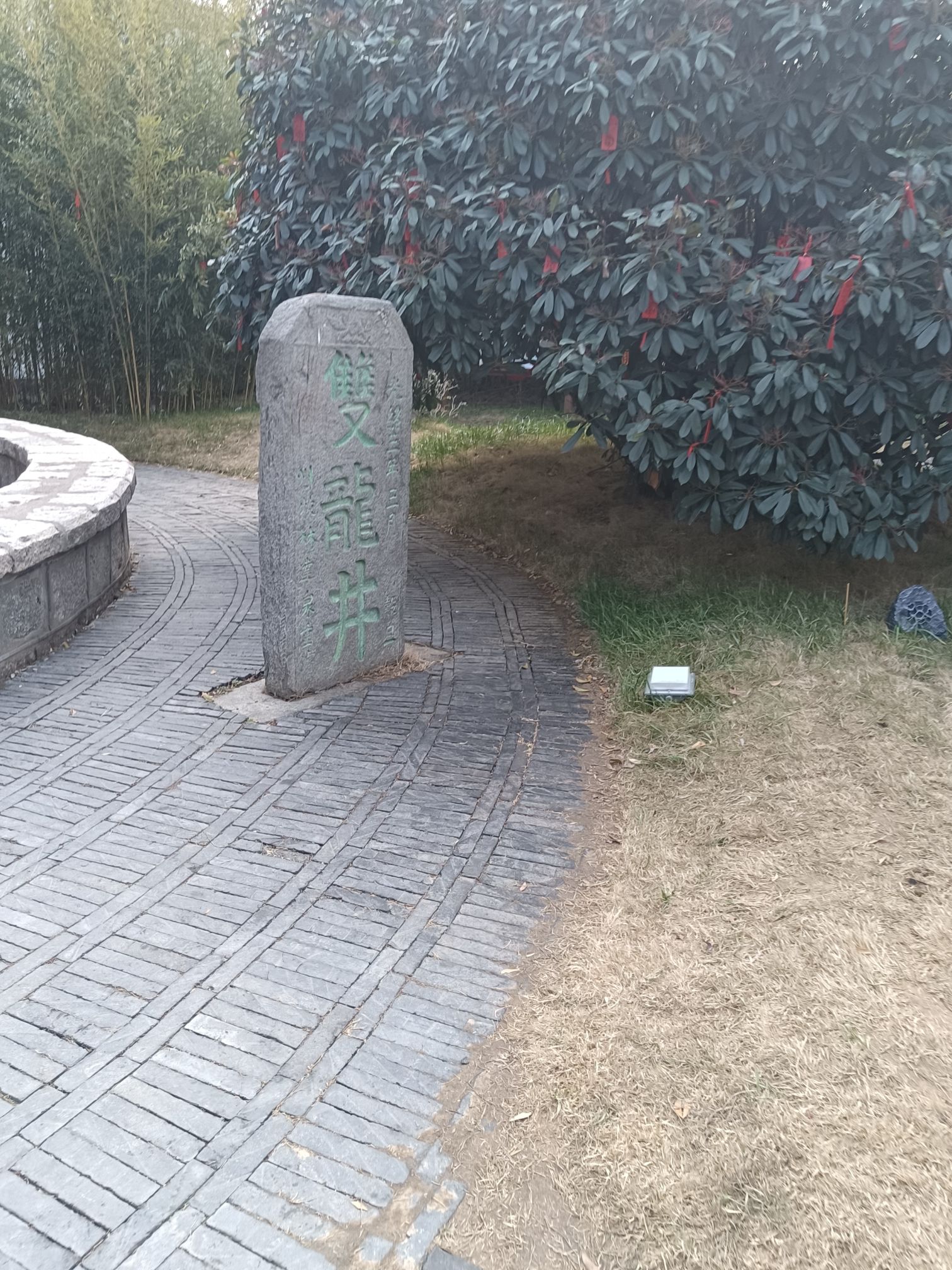 双龙井旅行图片 2