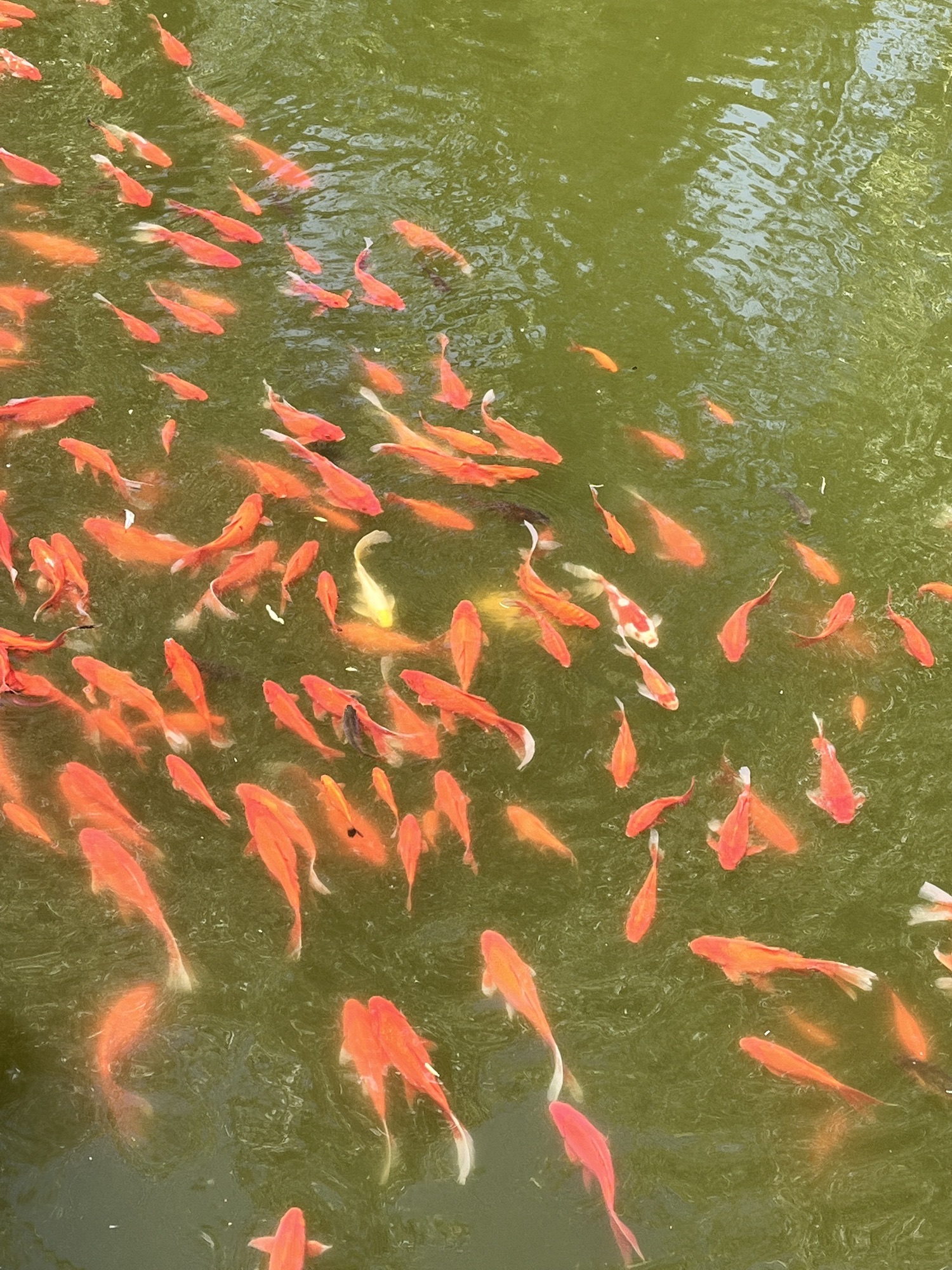 双龙井旅行图片 1