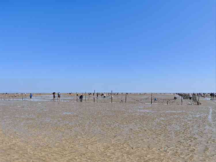 海州湾旅游度假区旅行图片 2
