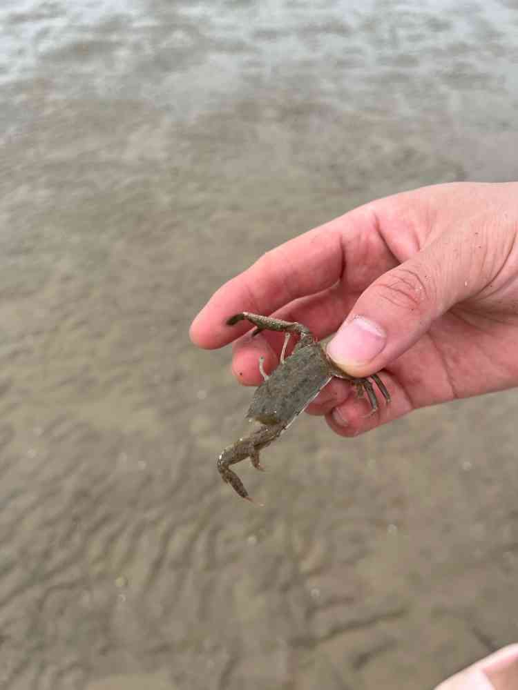 海州湾旅游度假区旅行图片 1