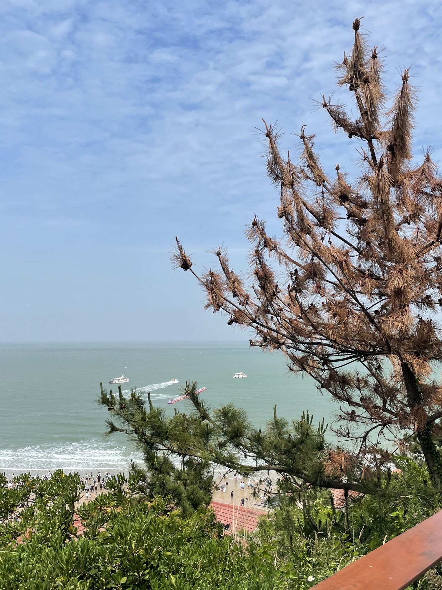 在海一方公园旅行图片 3