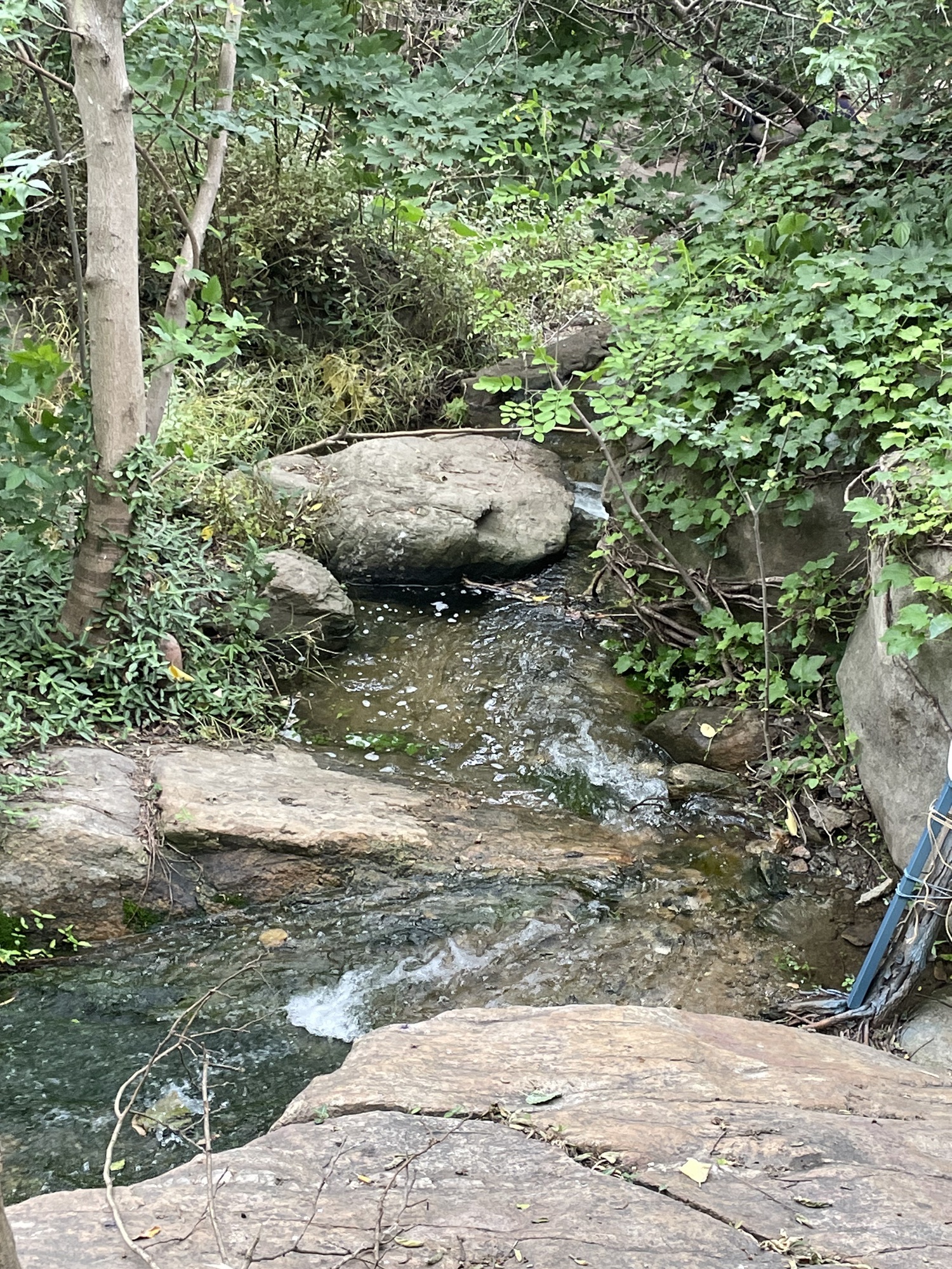 在海一方公园旅行图片 1