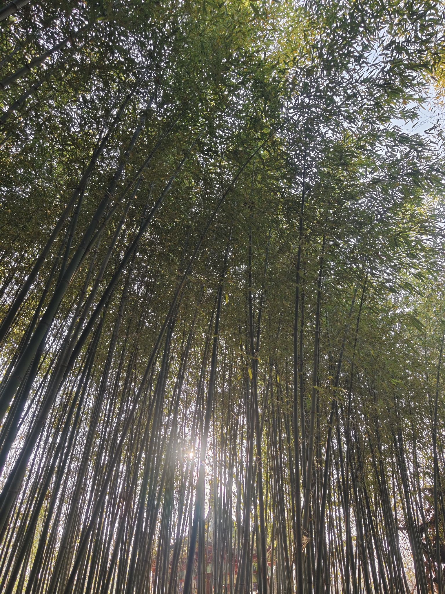 北崮山生态公园