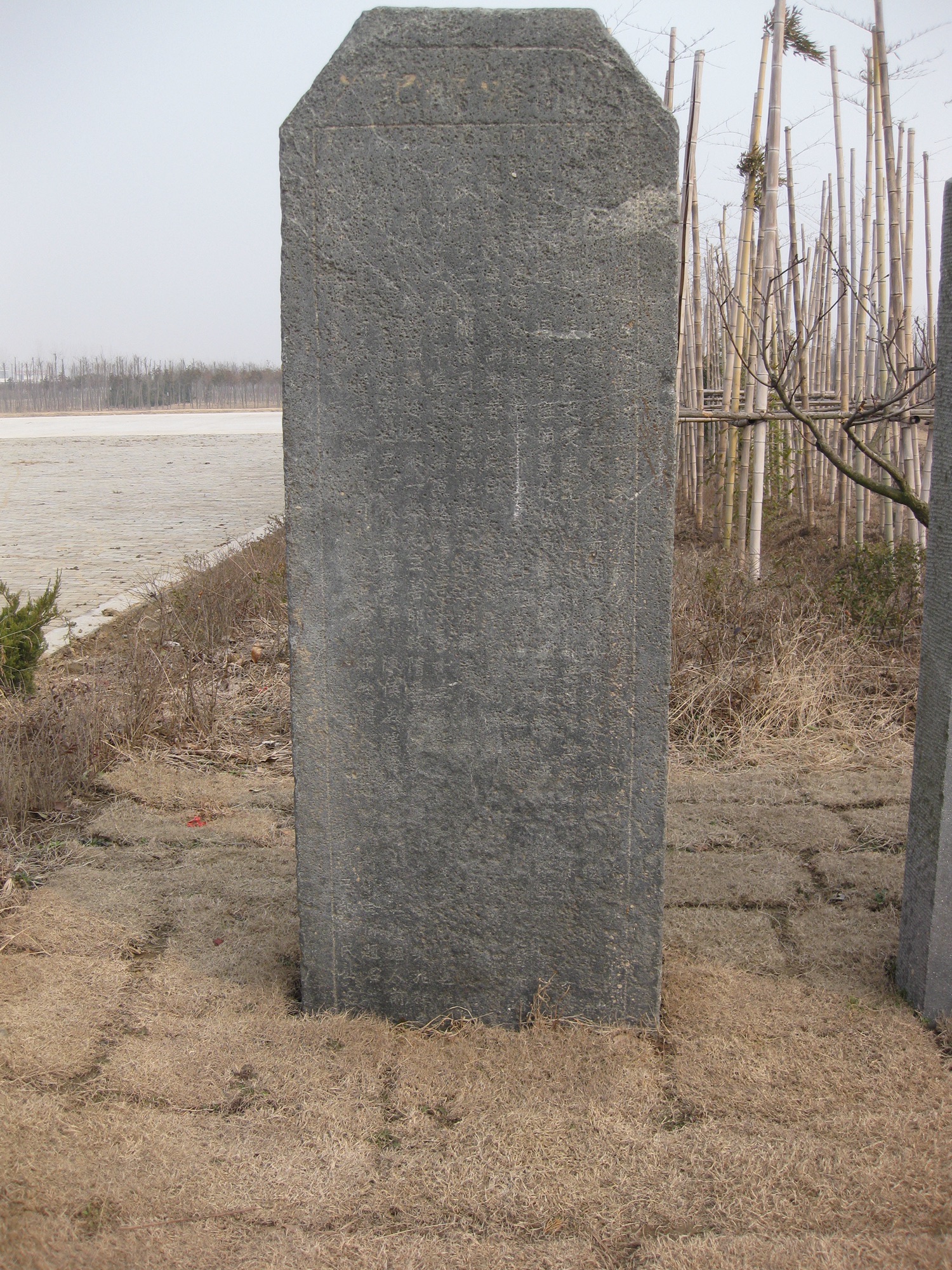 艾塘湖公园旅行图片 3