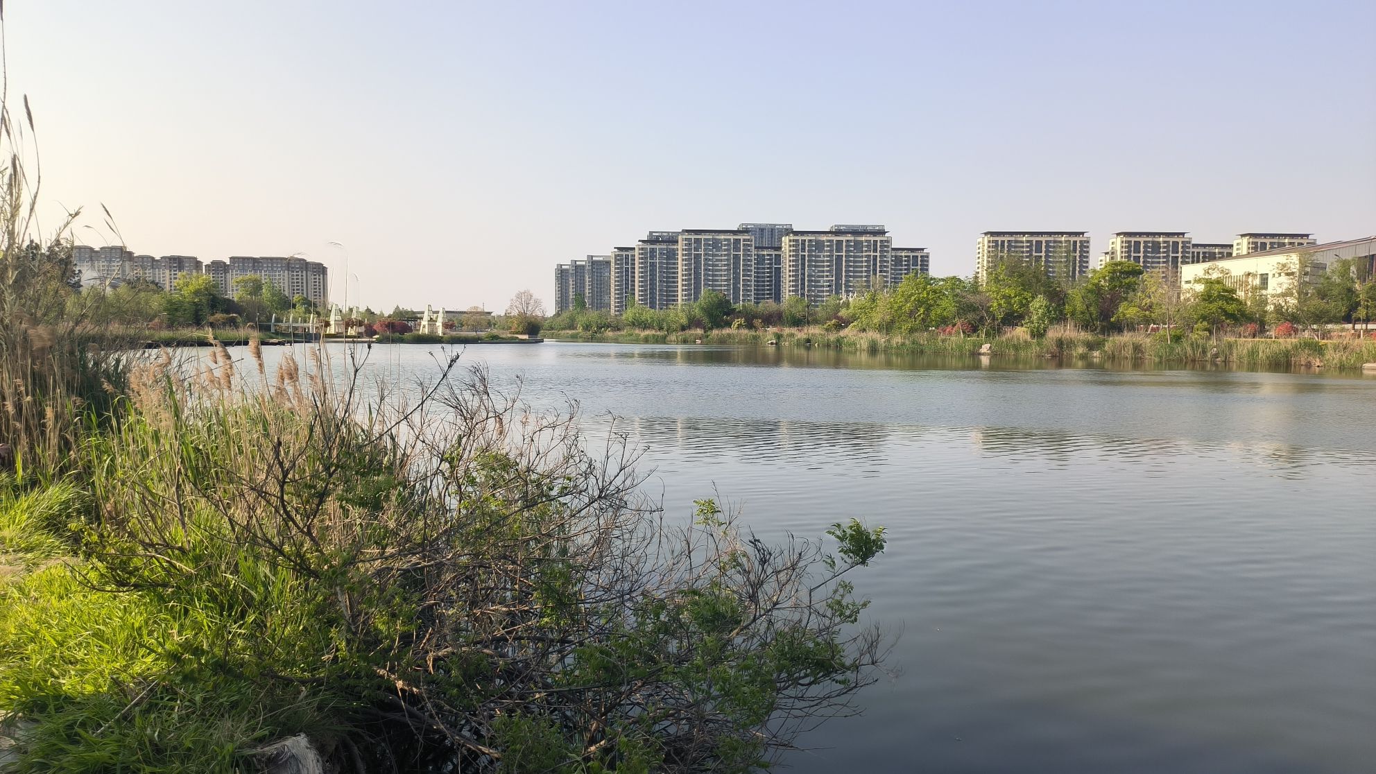 和安湖生态公园旅行图片 3