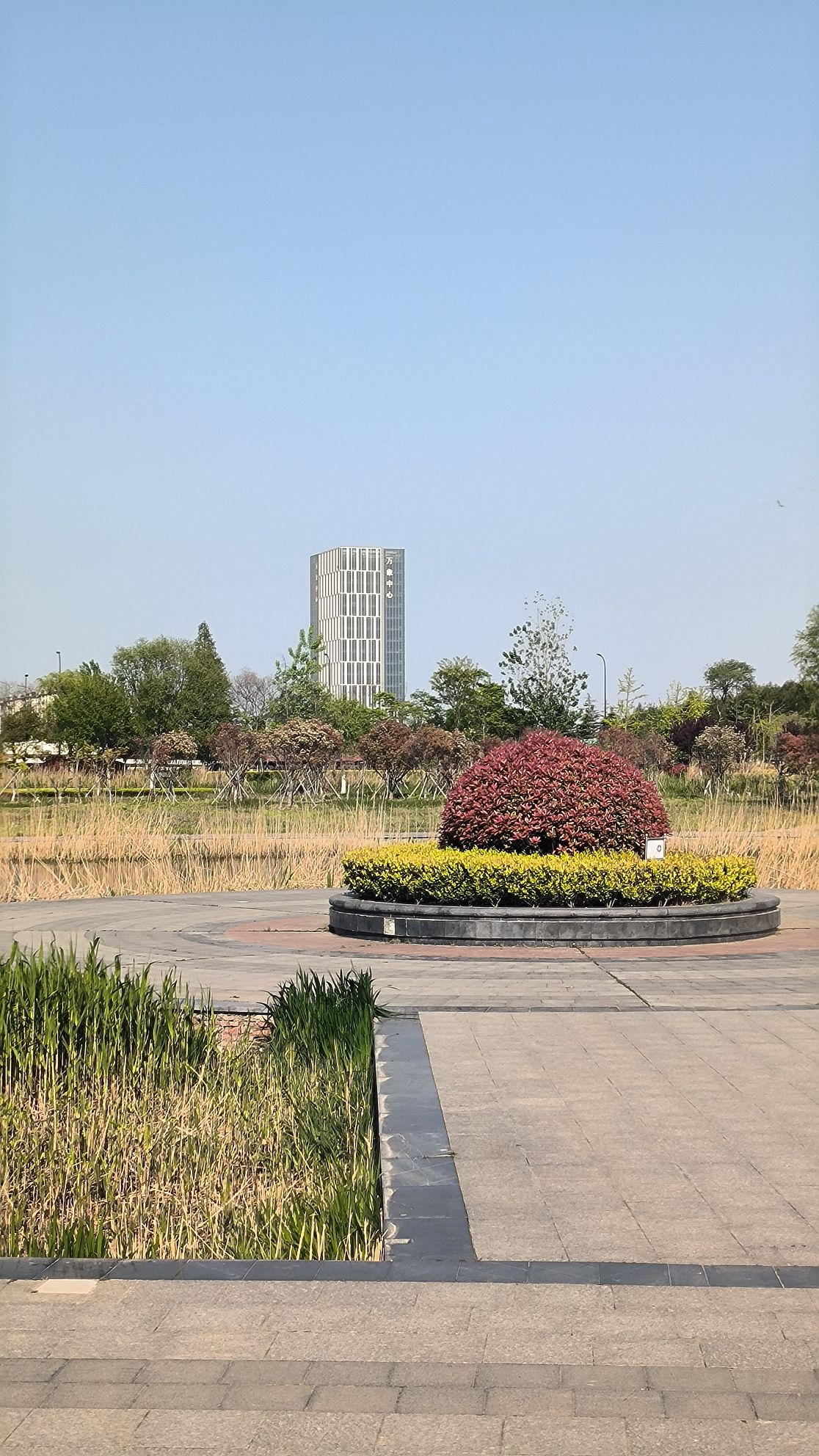 和安湖生态公园旅行图片 1