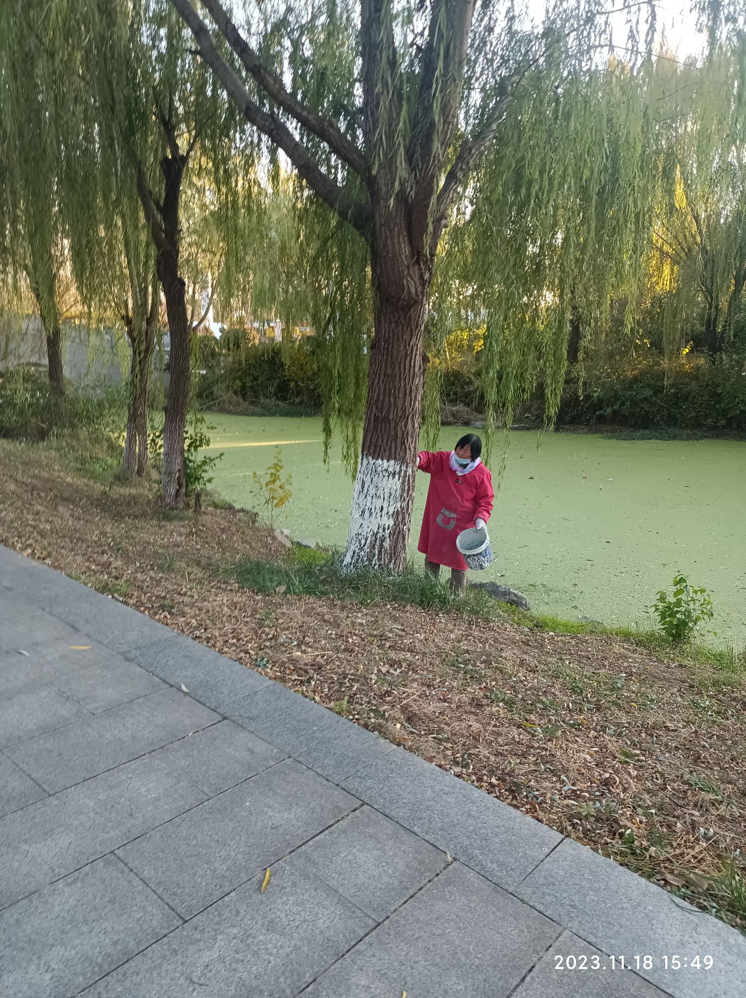水晶公园旅行图片 3
