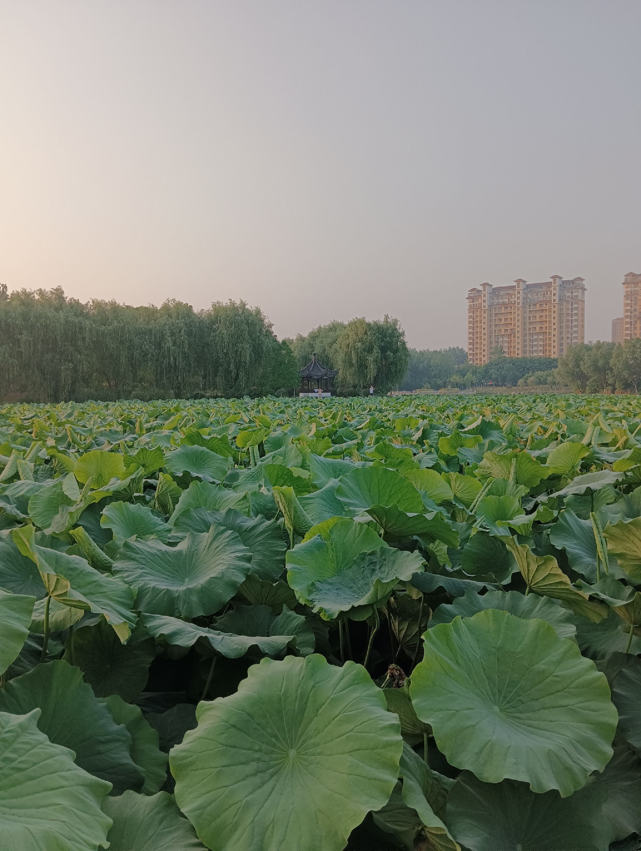 水晶公园旅行图片 2