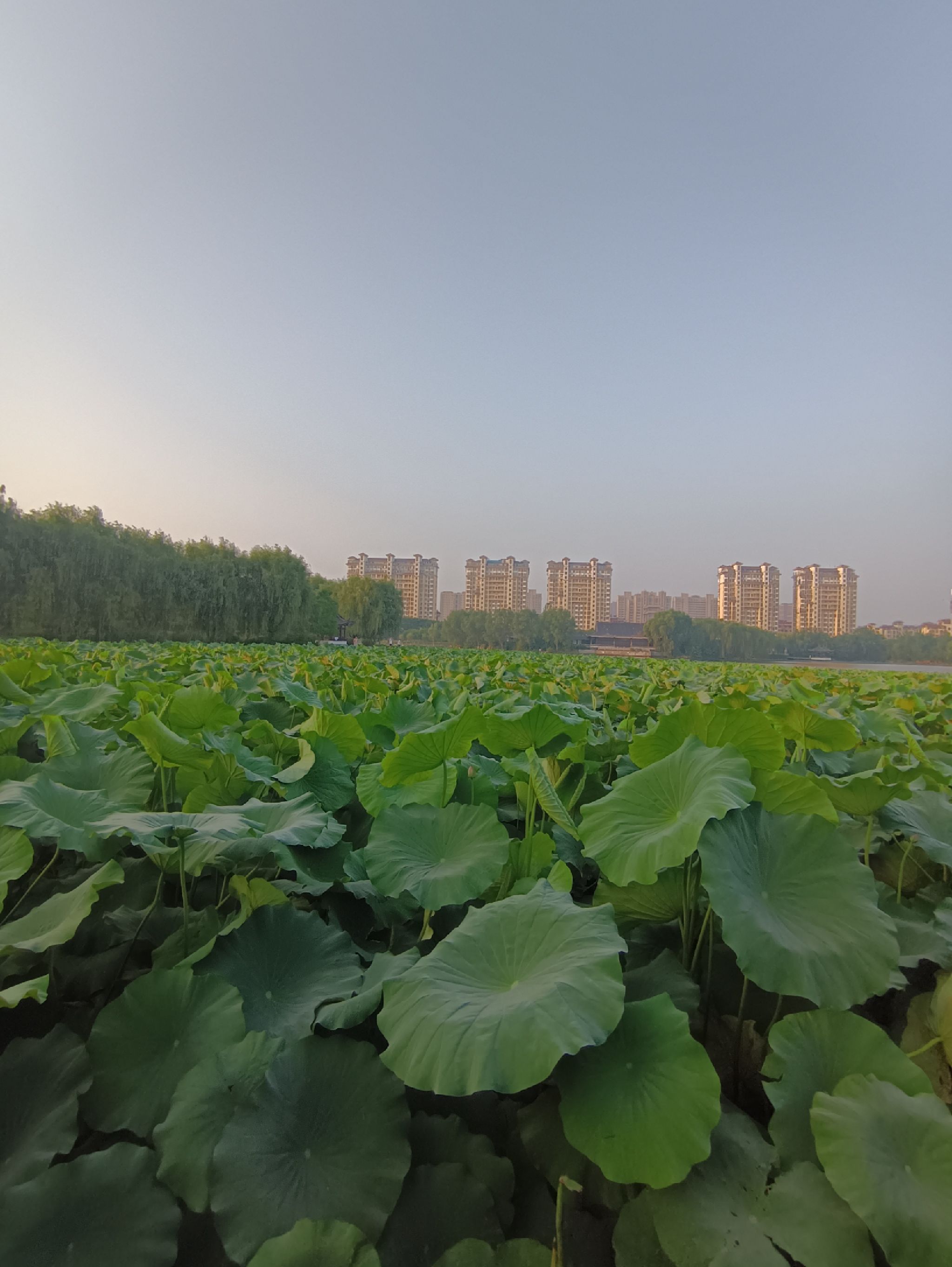 水晶公园旅行图片 1
