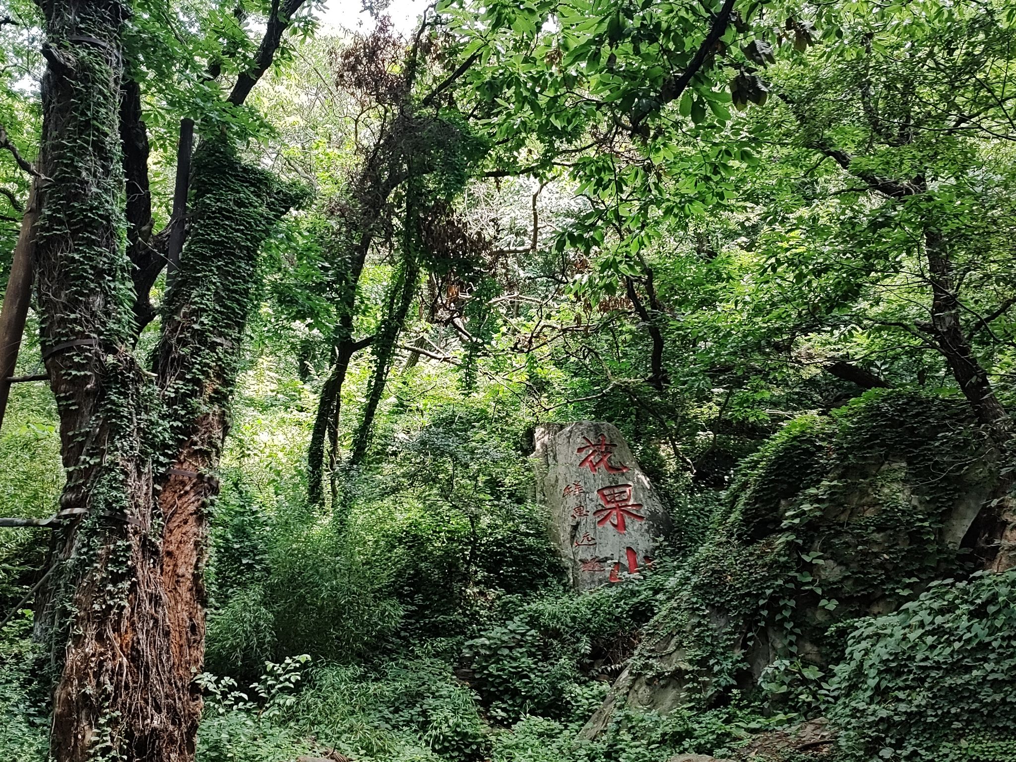 花果山风景区旅行图片 2