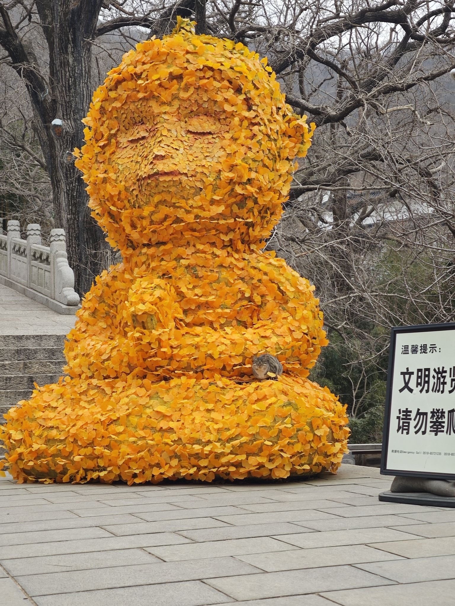 花果山风景区旅行图片 3