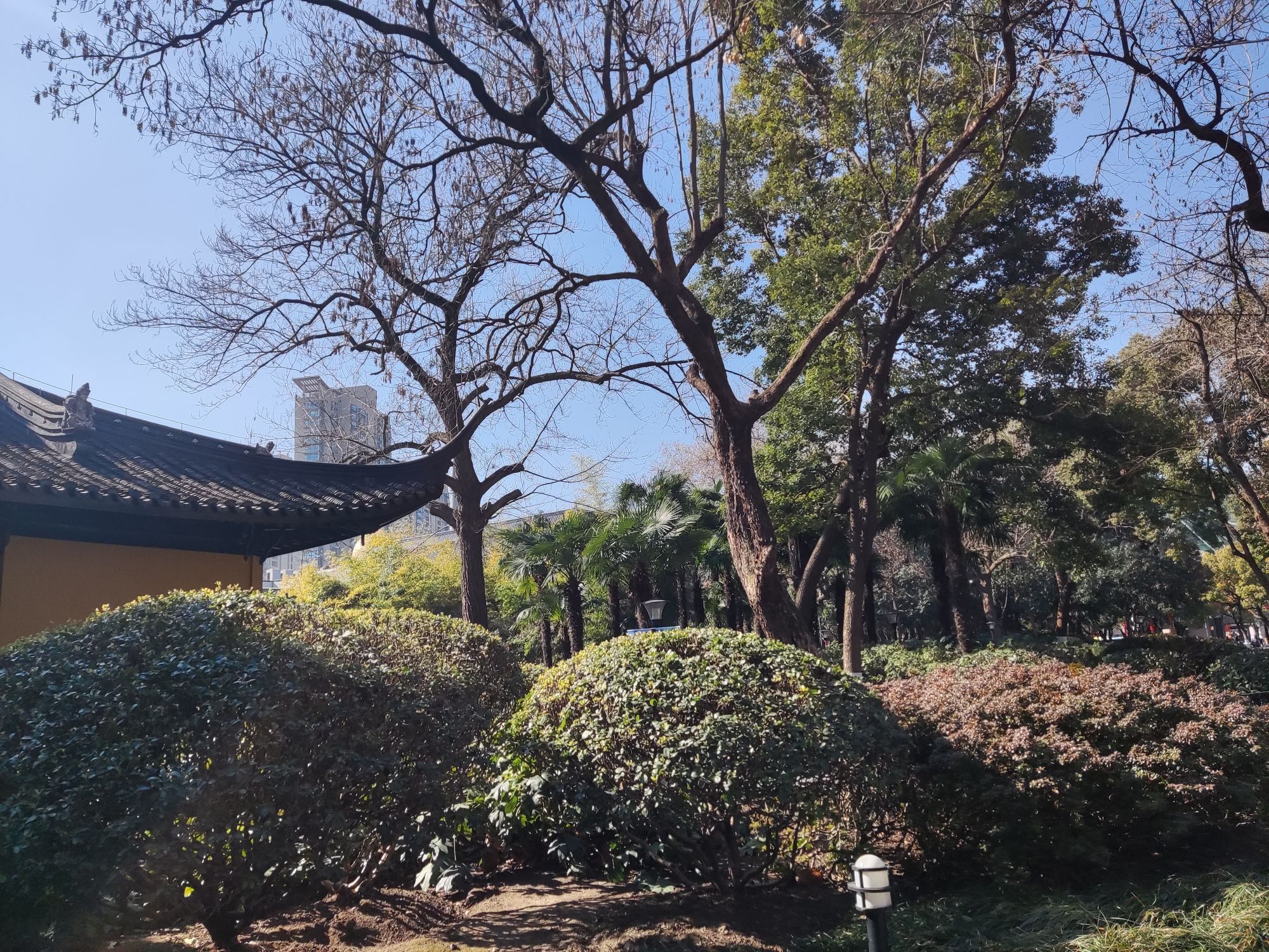 人民公园旅行图片 3