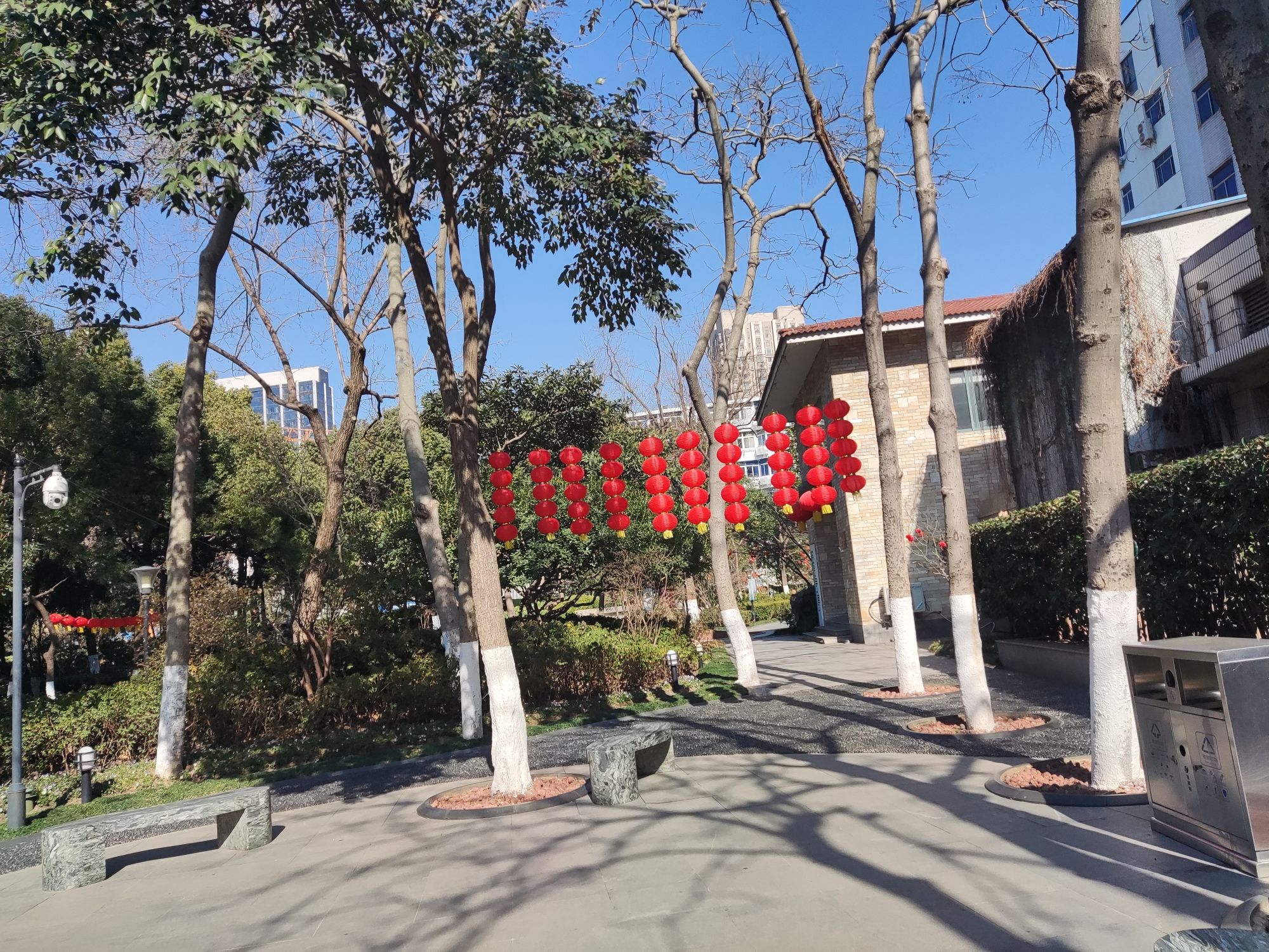 人民公园旅行图片 2