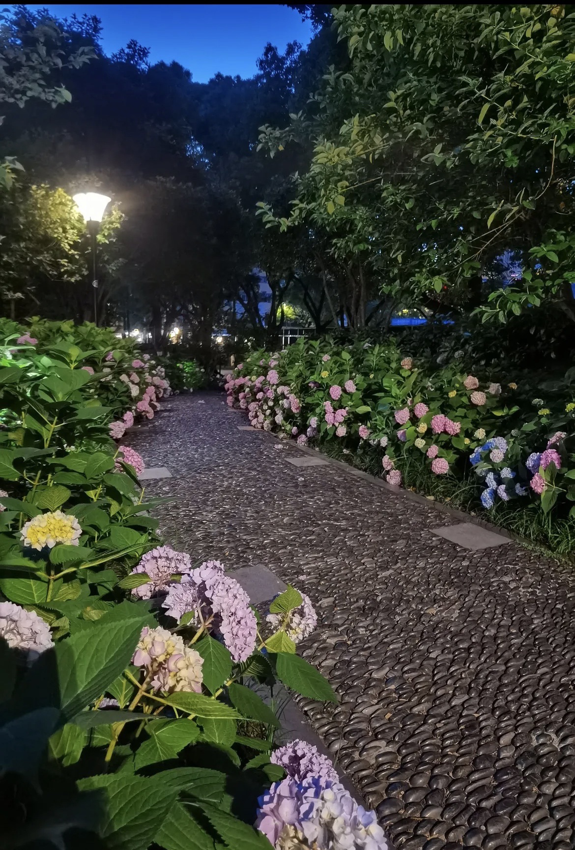 人民公园旅行图片 2