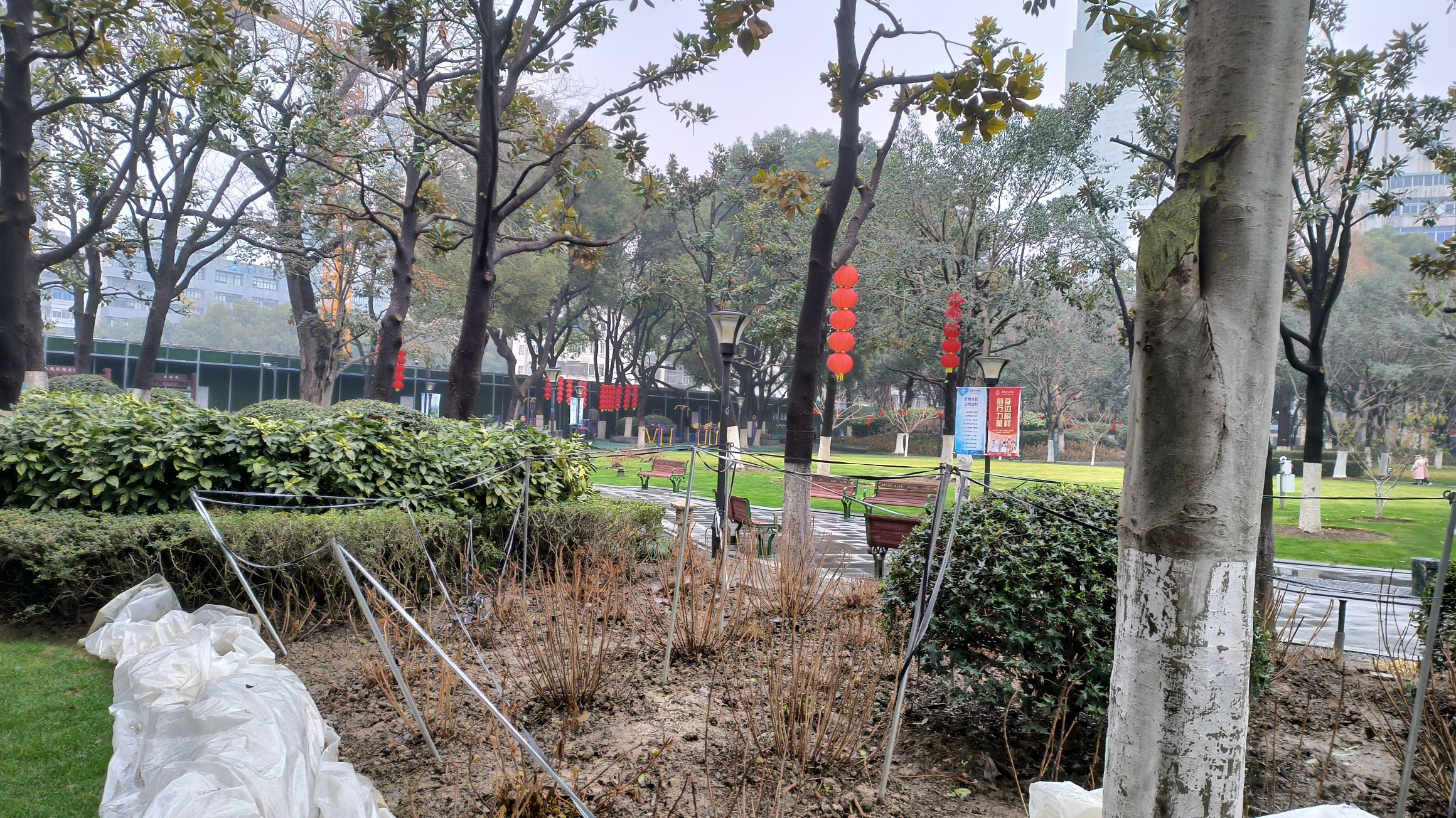人民公园旅行图片 3