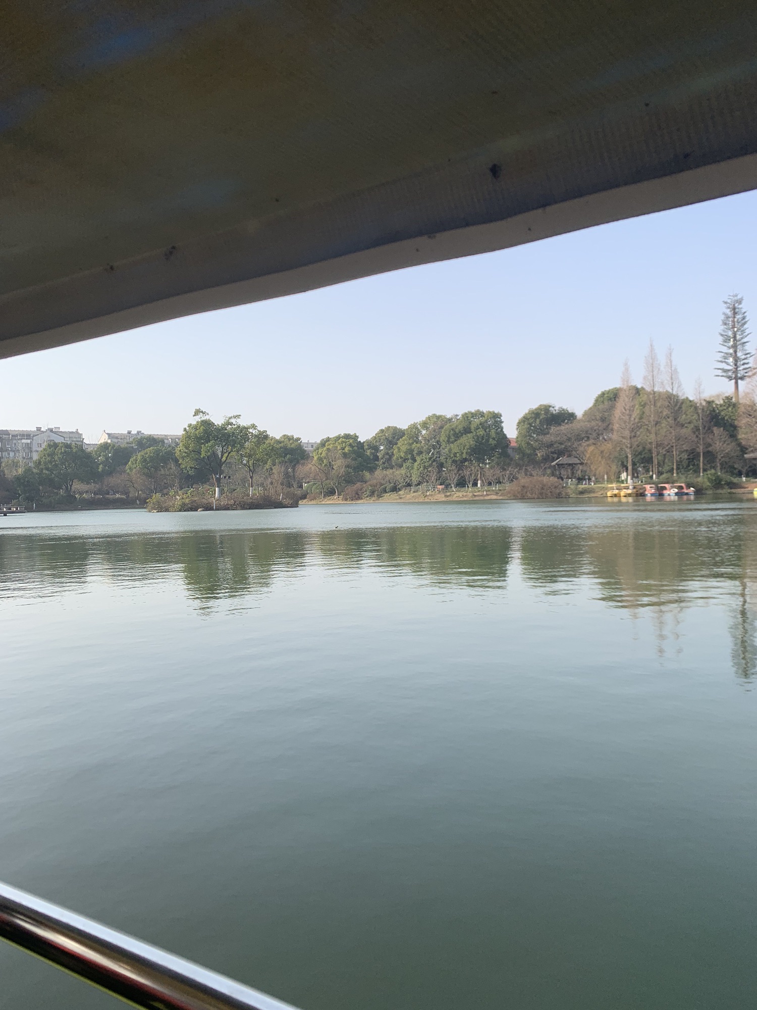 荆川公园旅行图片 3