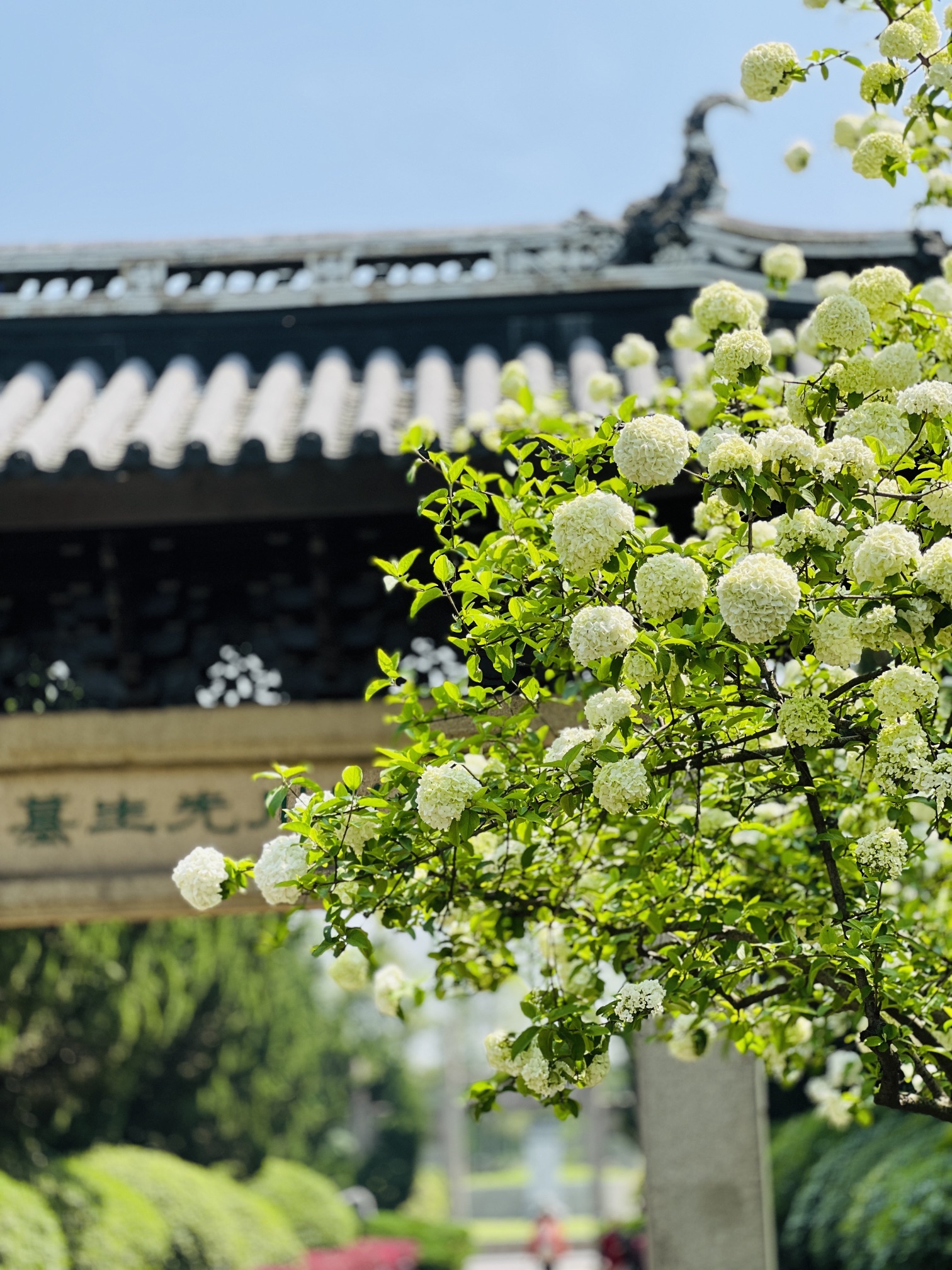 荆川公园旅行图片 2