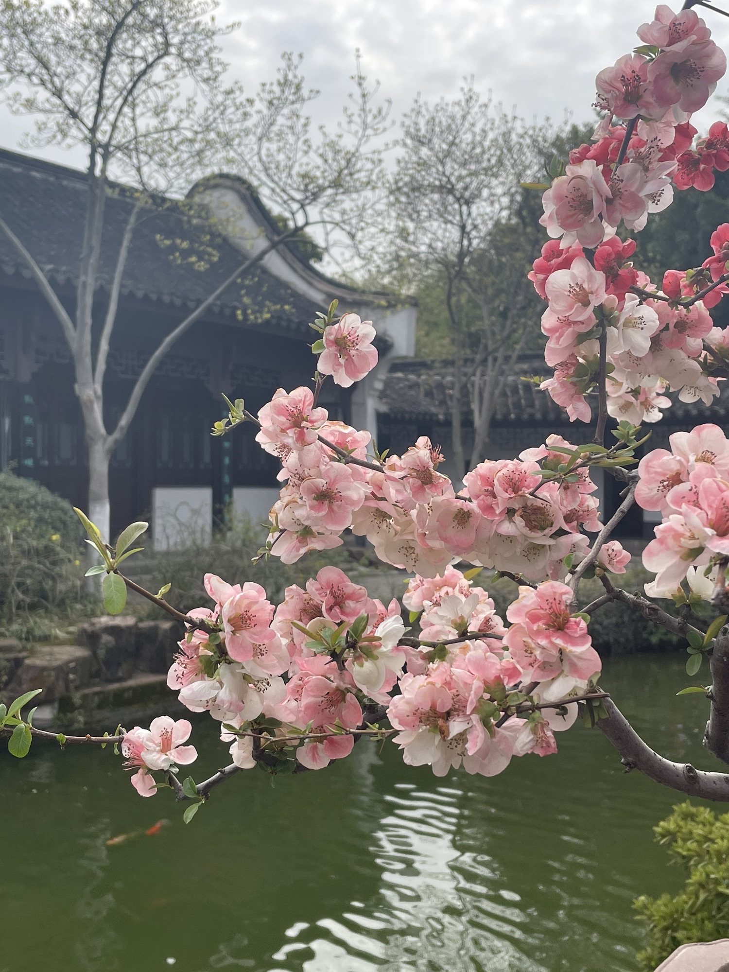 荆川公园旅行图片 2