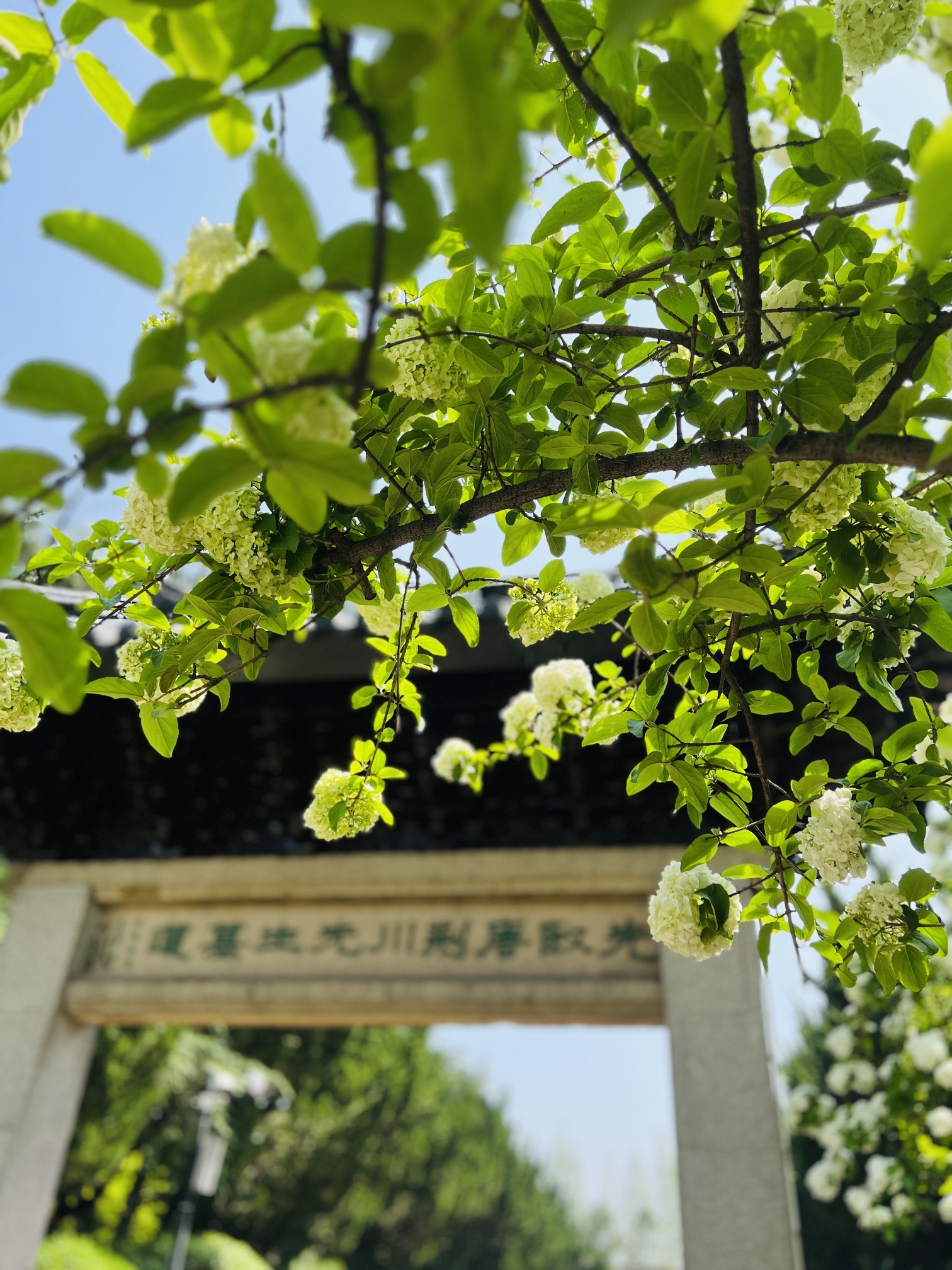 荆川公园旅行图片 1