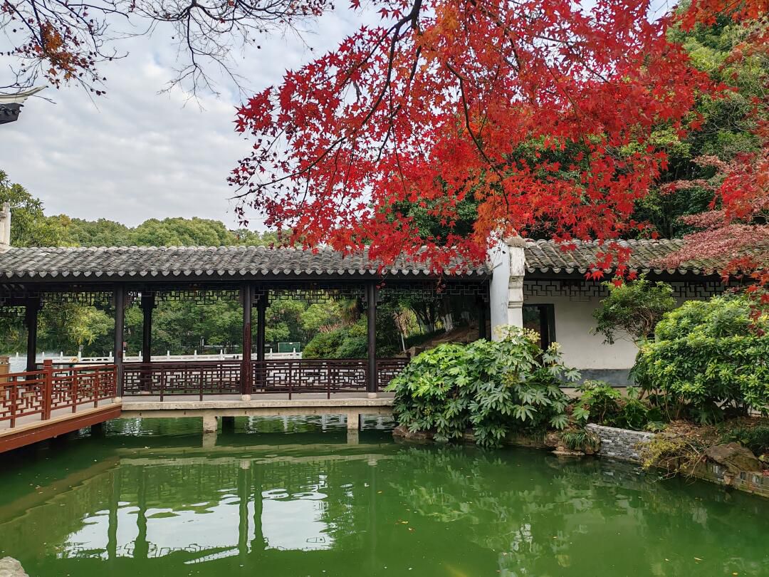 荆川公园旅行图片 3