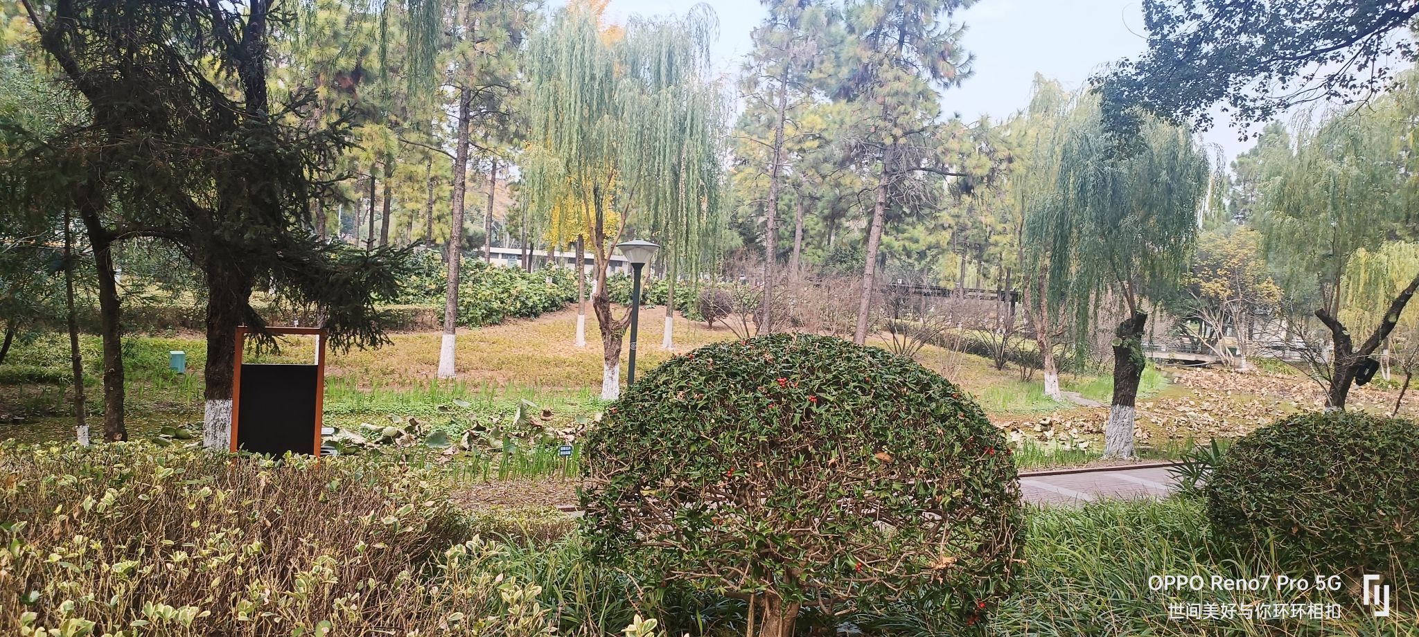 五星公园旅行图片 3